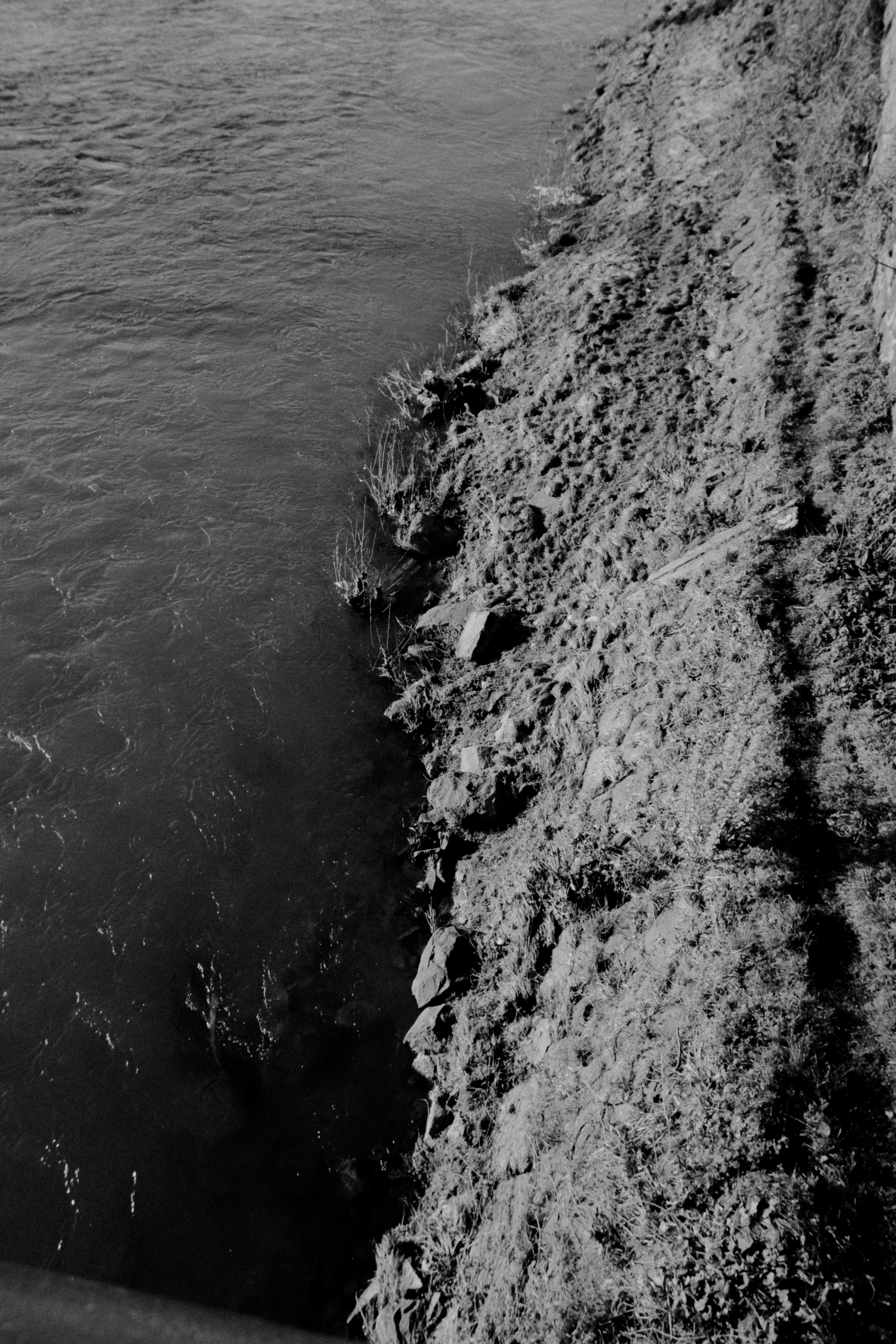 Photo by dmytrobayer