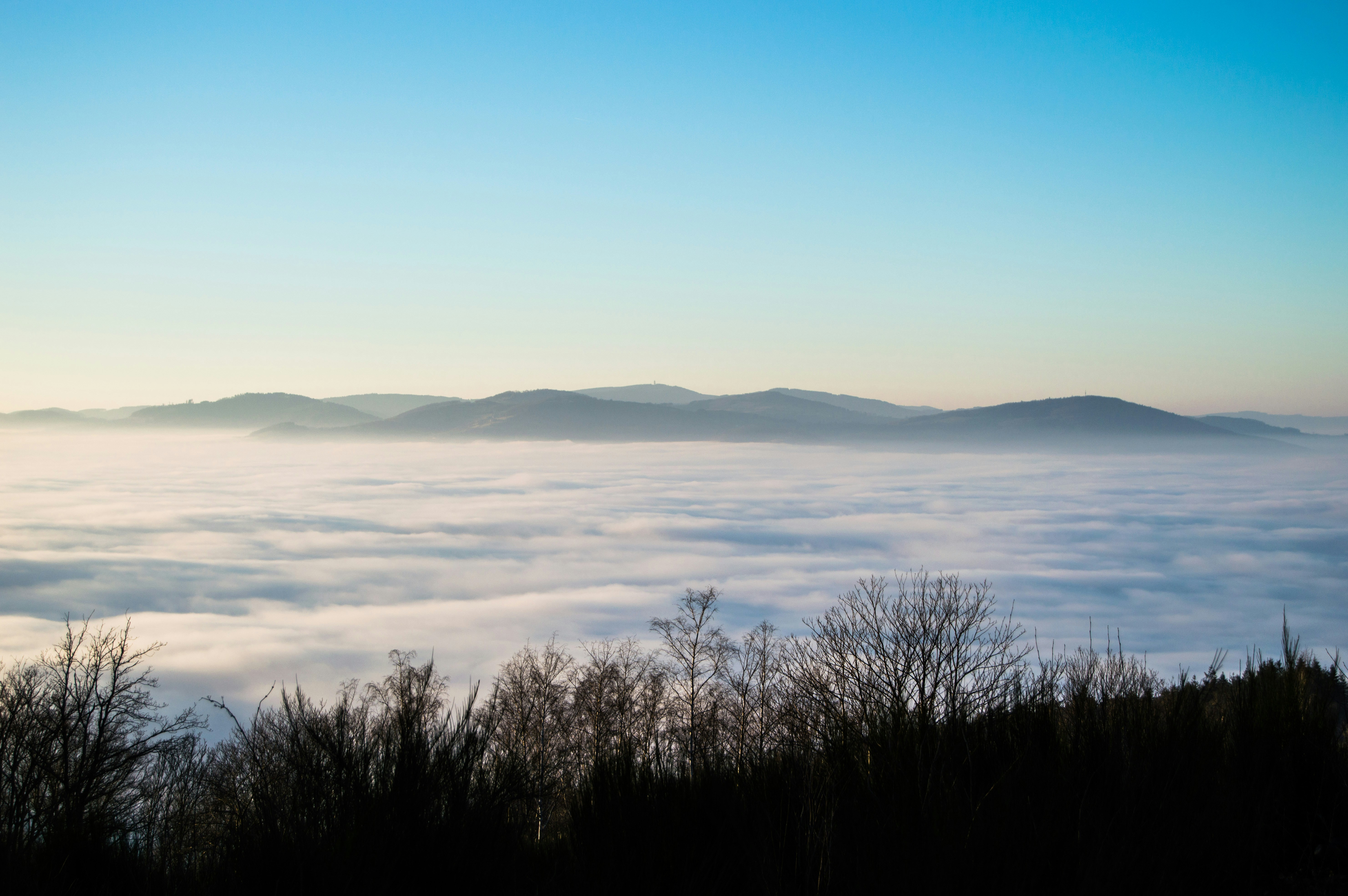 Photo by lucasgallone