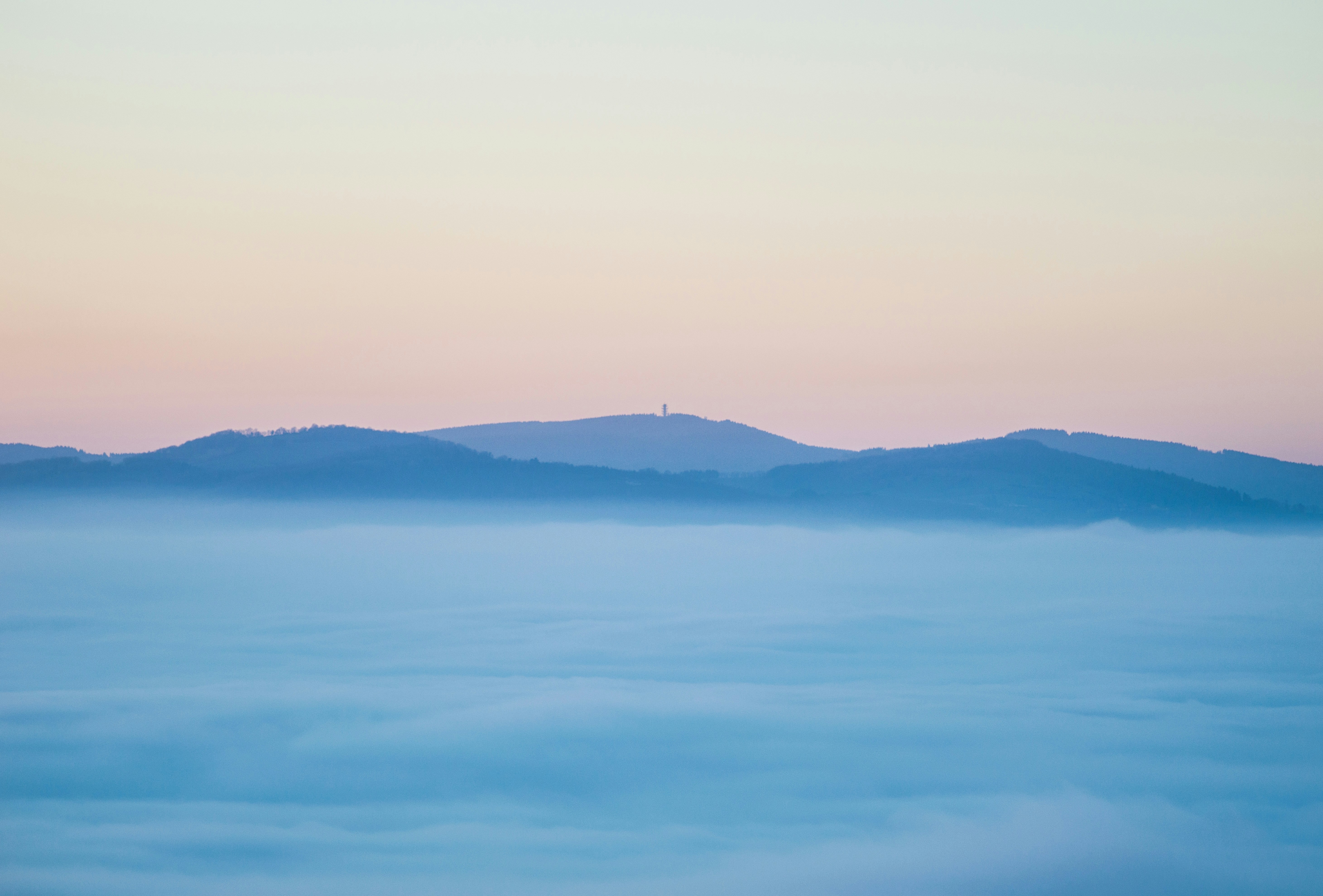 2025년 국내 벚꽃 축제 총정리: 만개하는 봄의 아름다움
