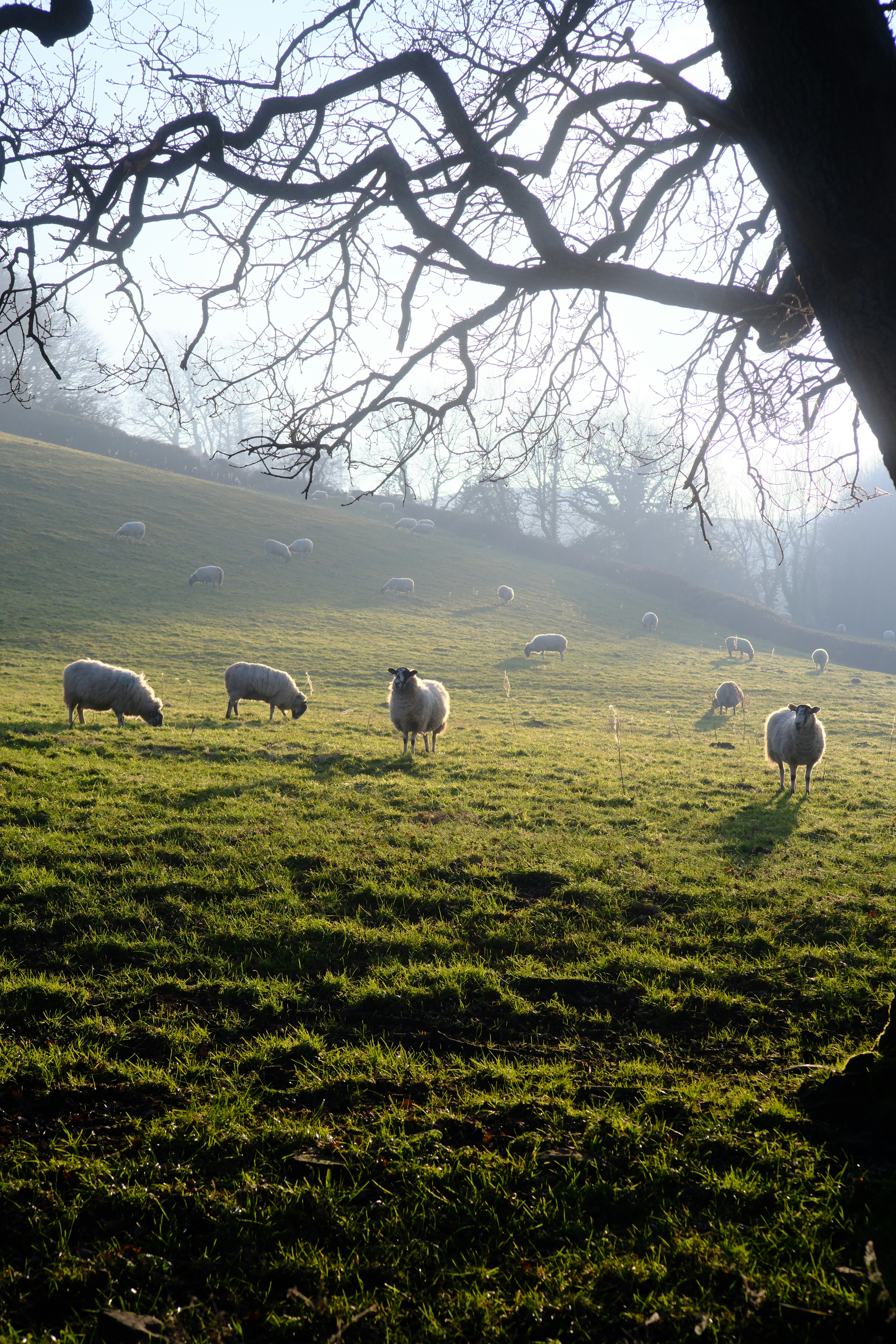 Photo by alekseixagafonov