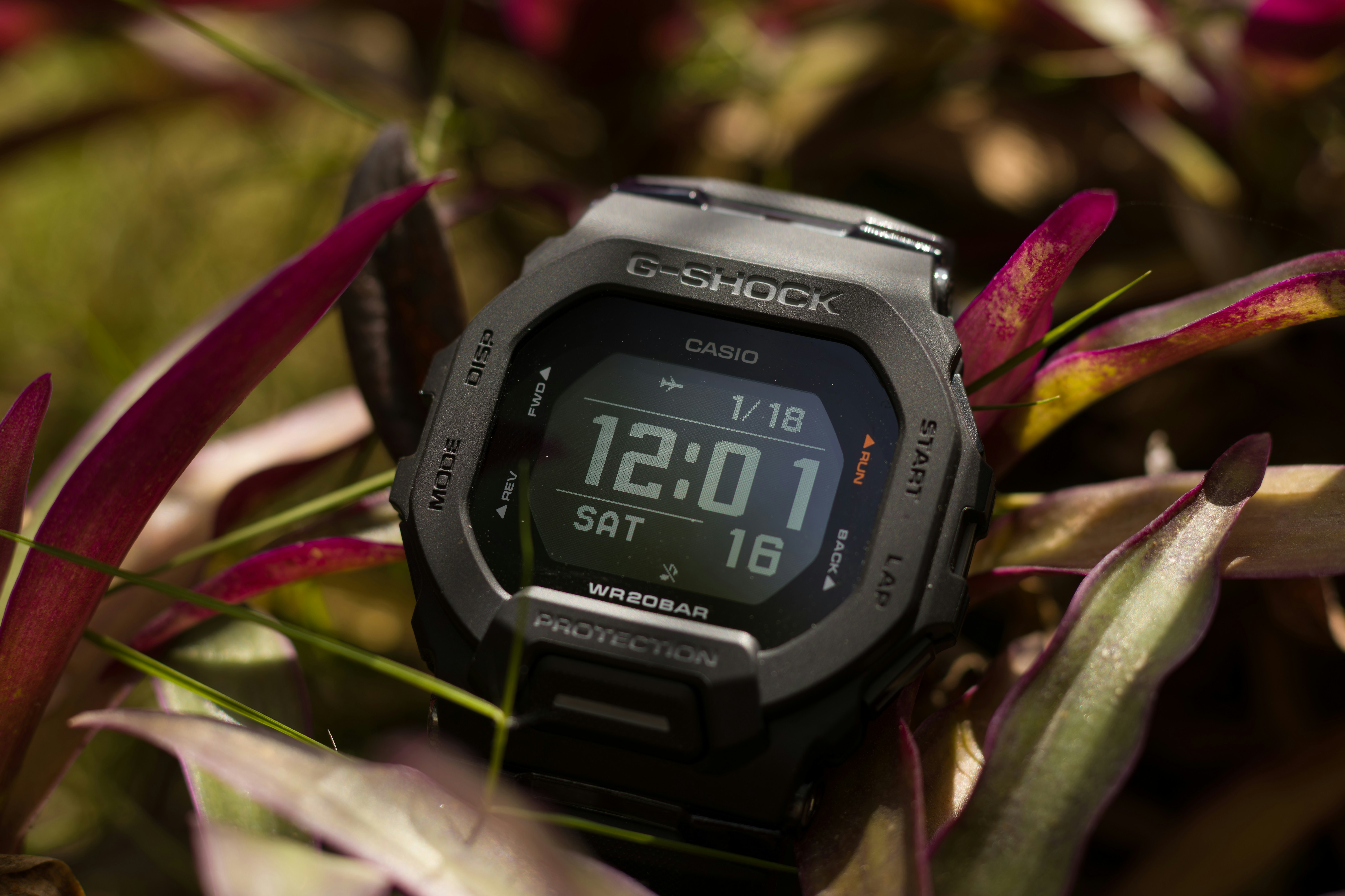 A close up of a watch on a plant