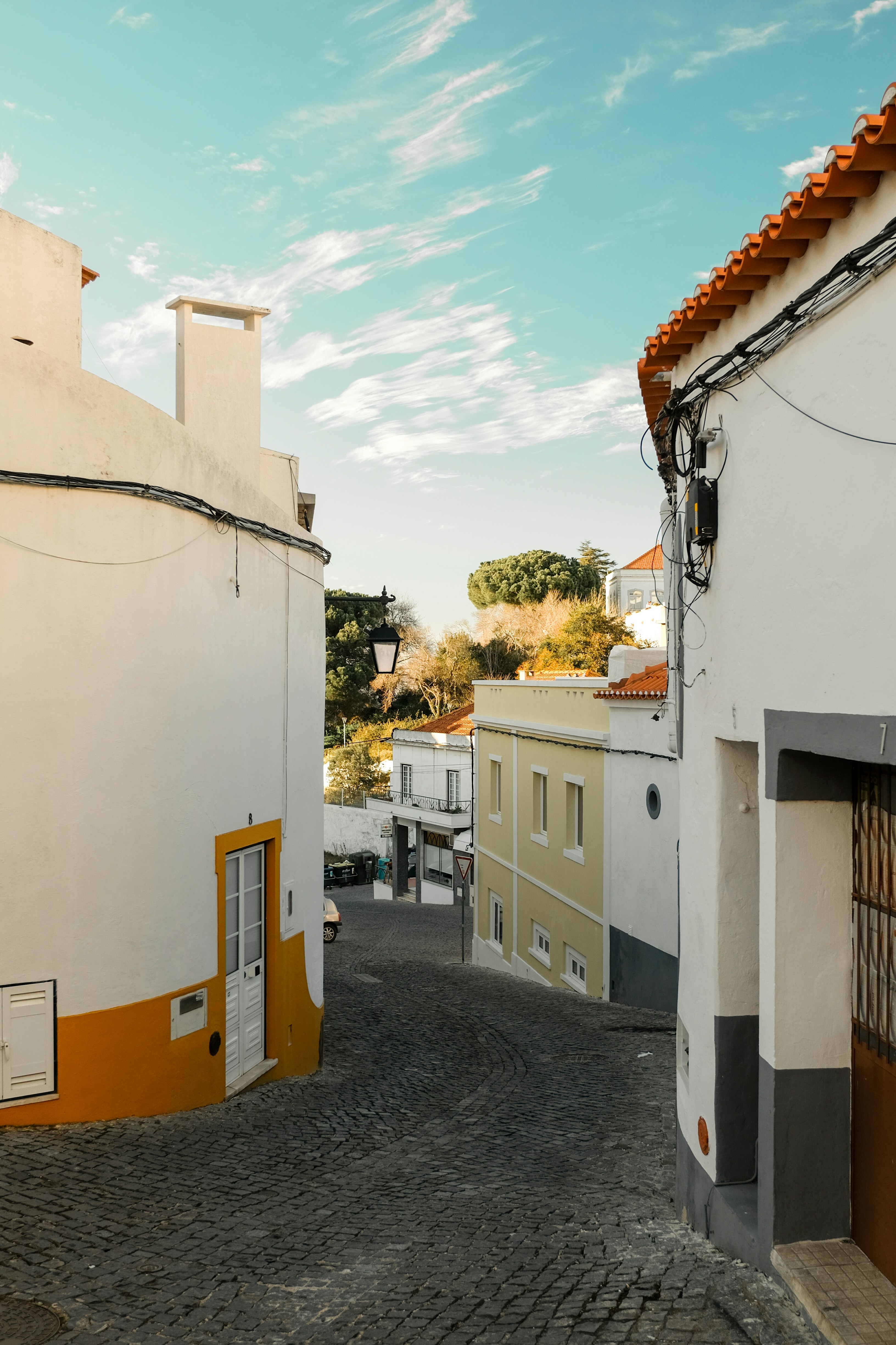 Photo by noelephantsflying