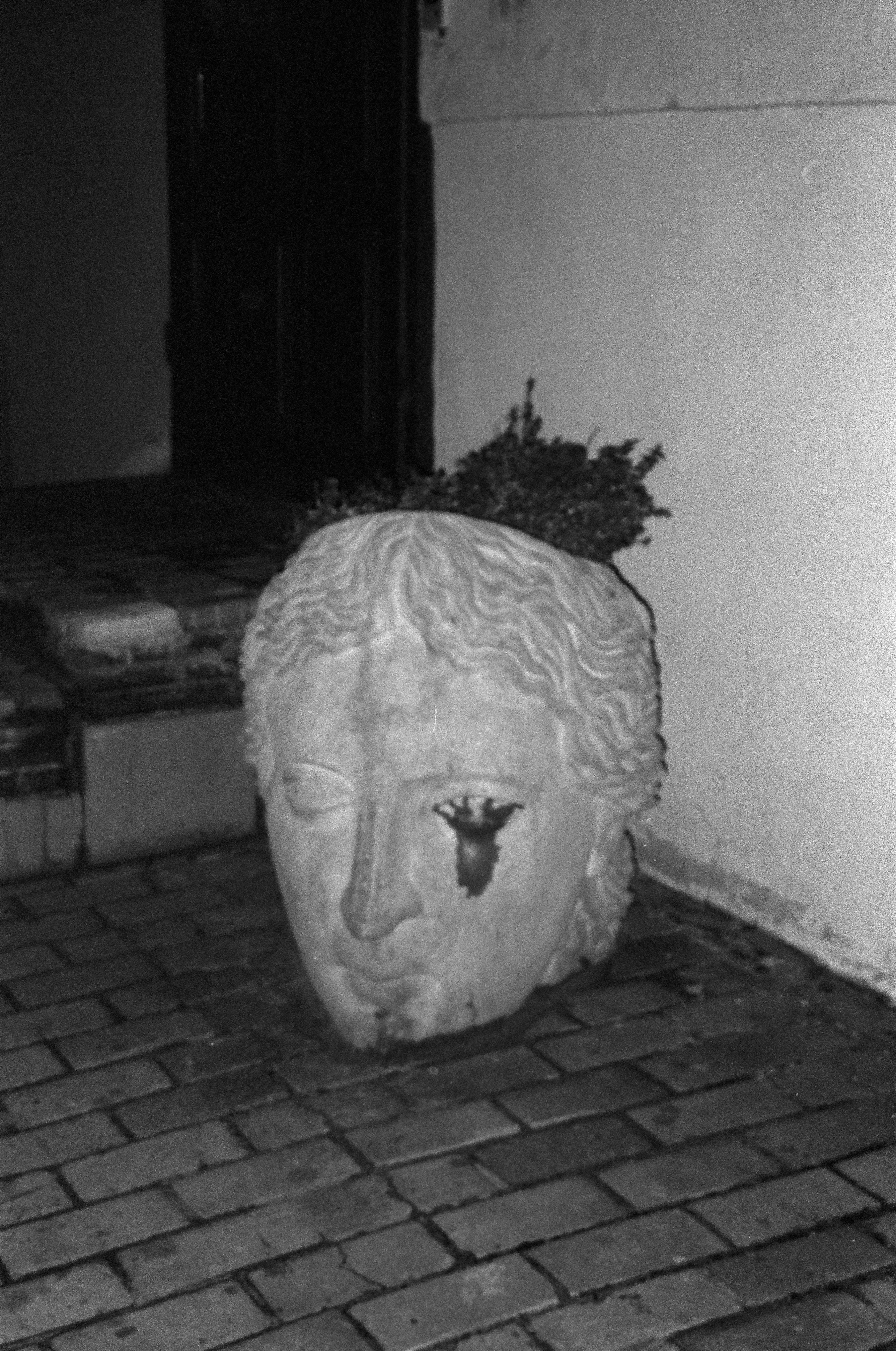 A statue of a man's head on a brick floor photo – Free Street Image on ...