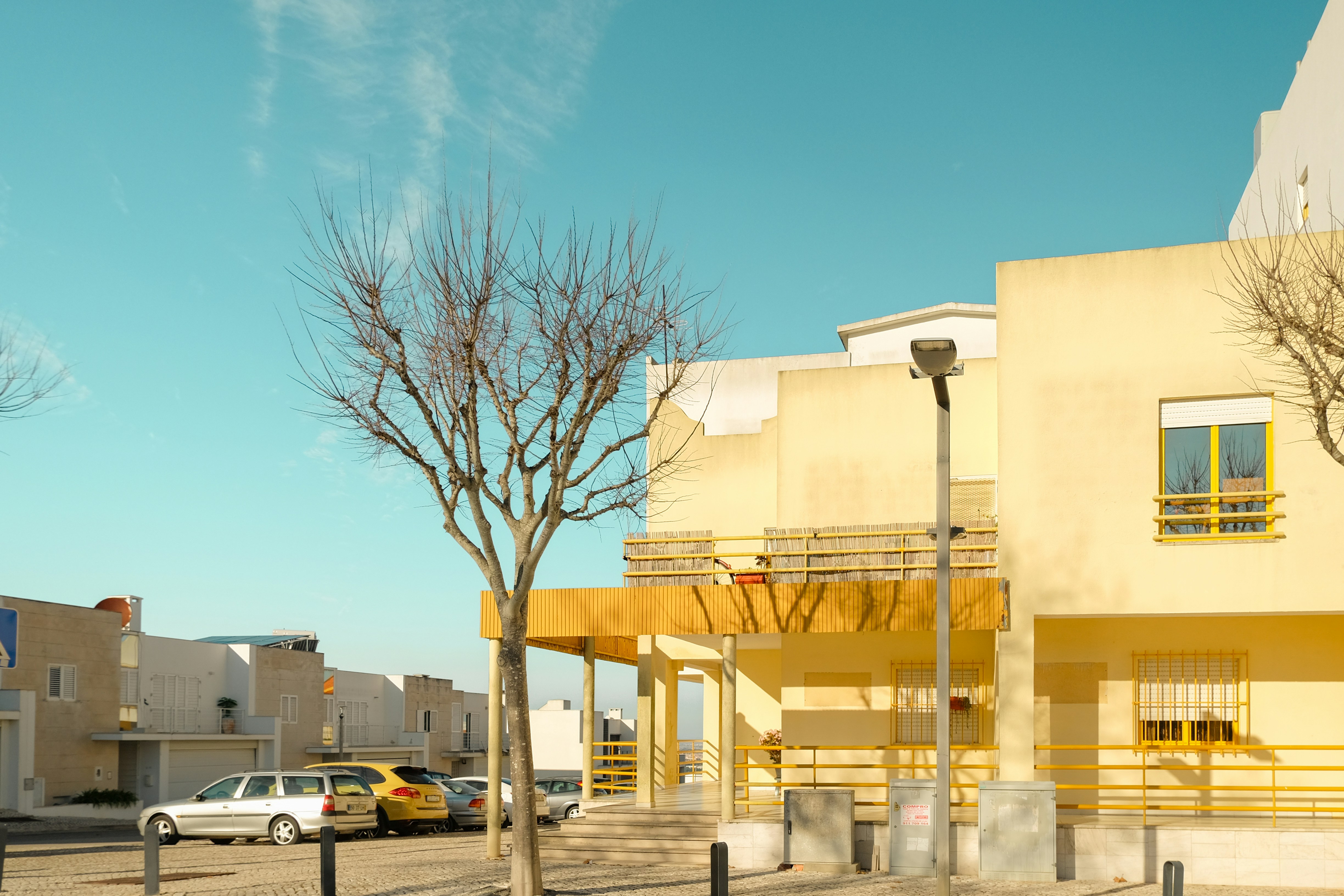 Photo by noelephantsflying