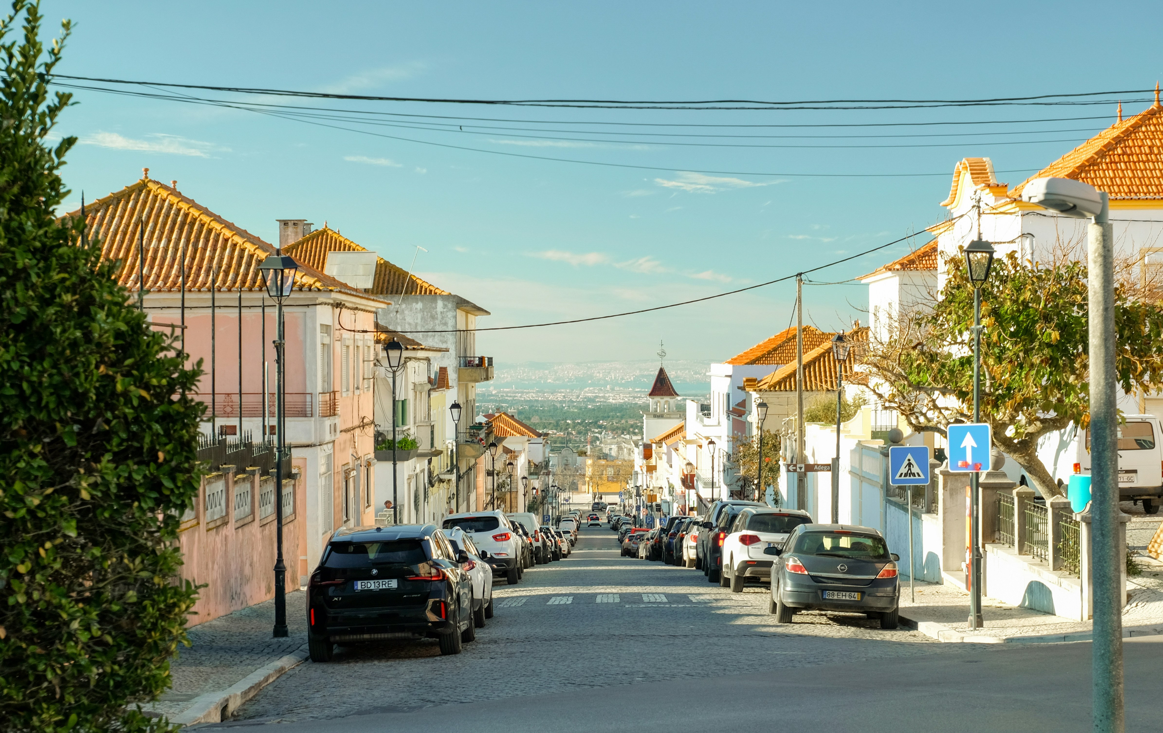 Photo by noelephantsflying