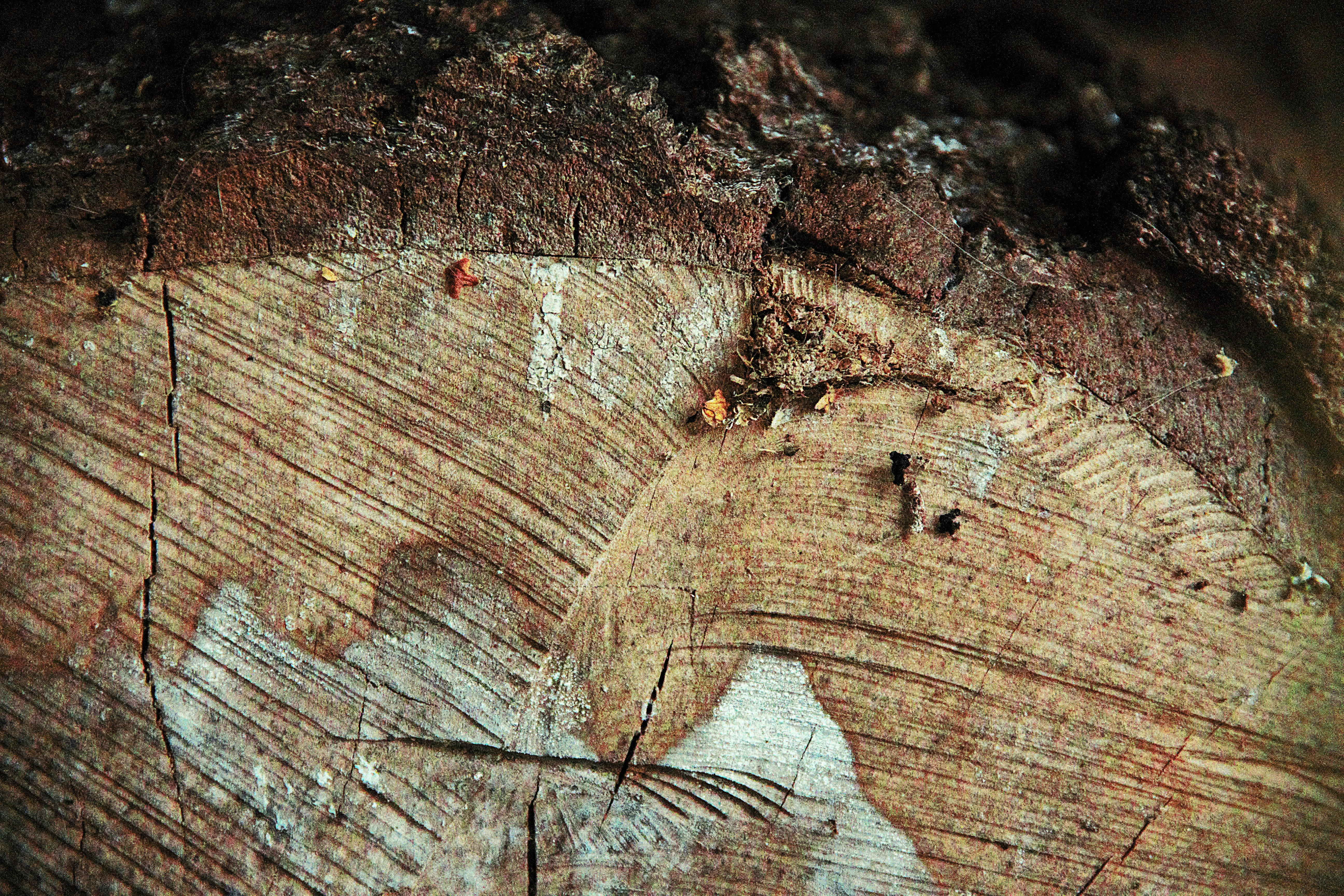 Photo by aline_li_varen