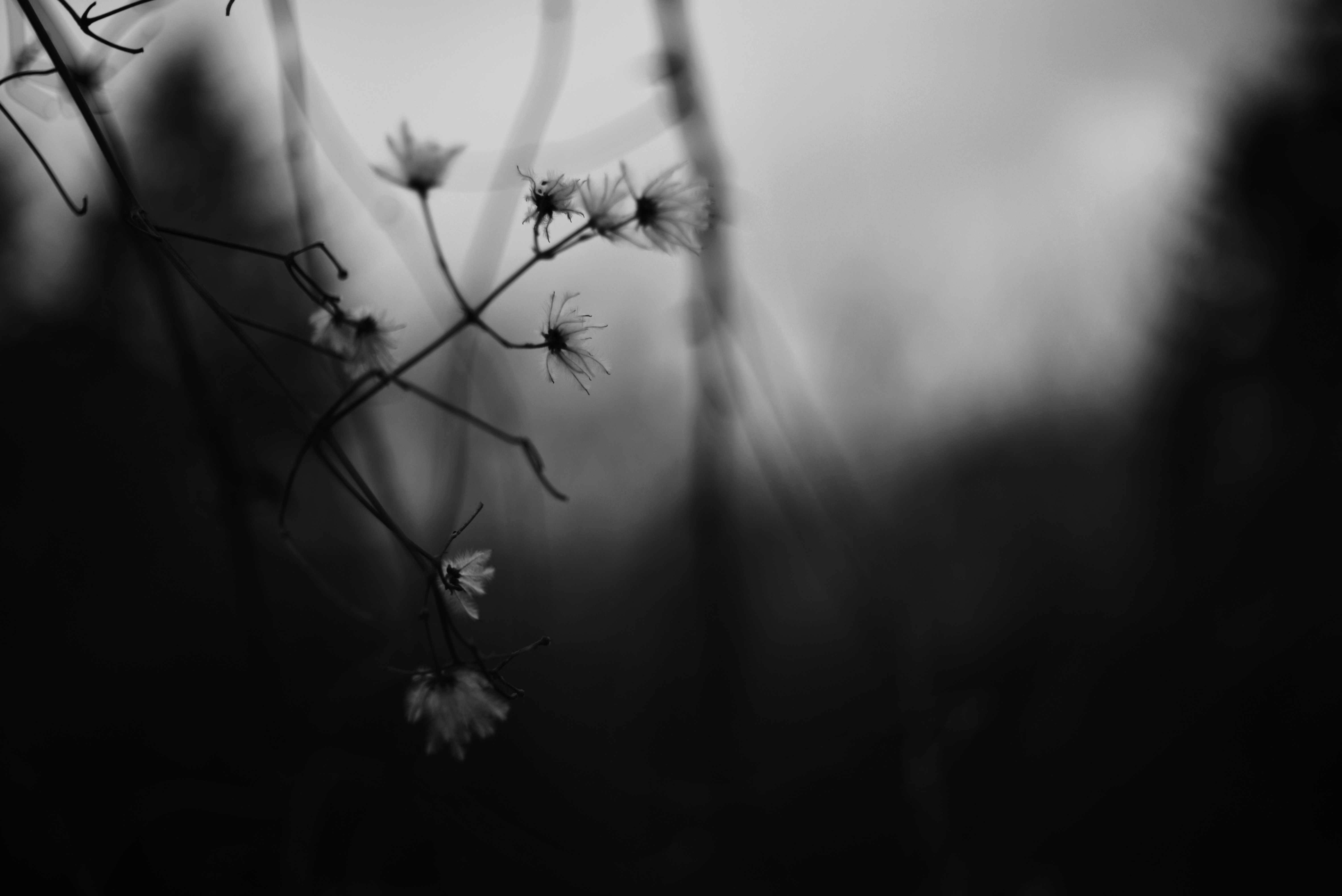 Photo by cherstve_pechivo