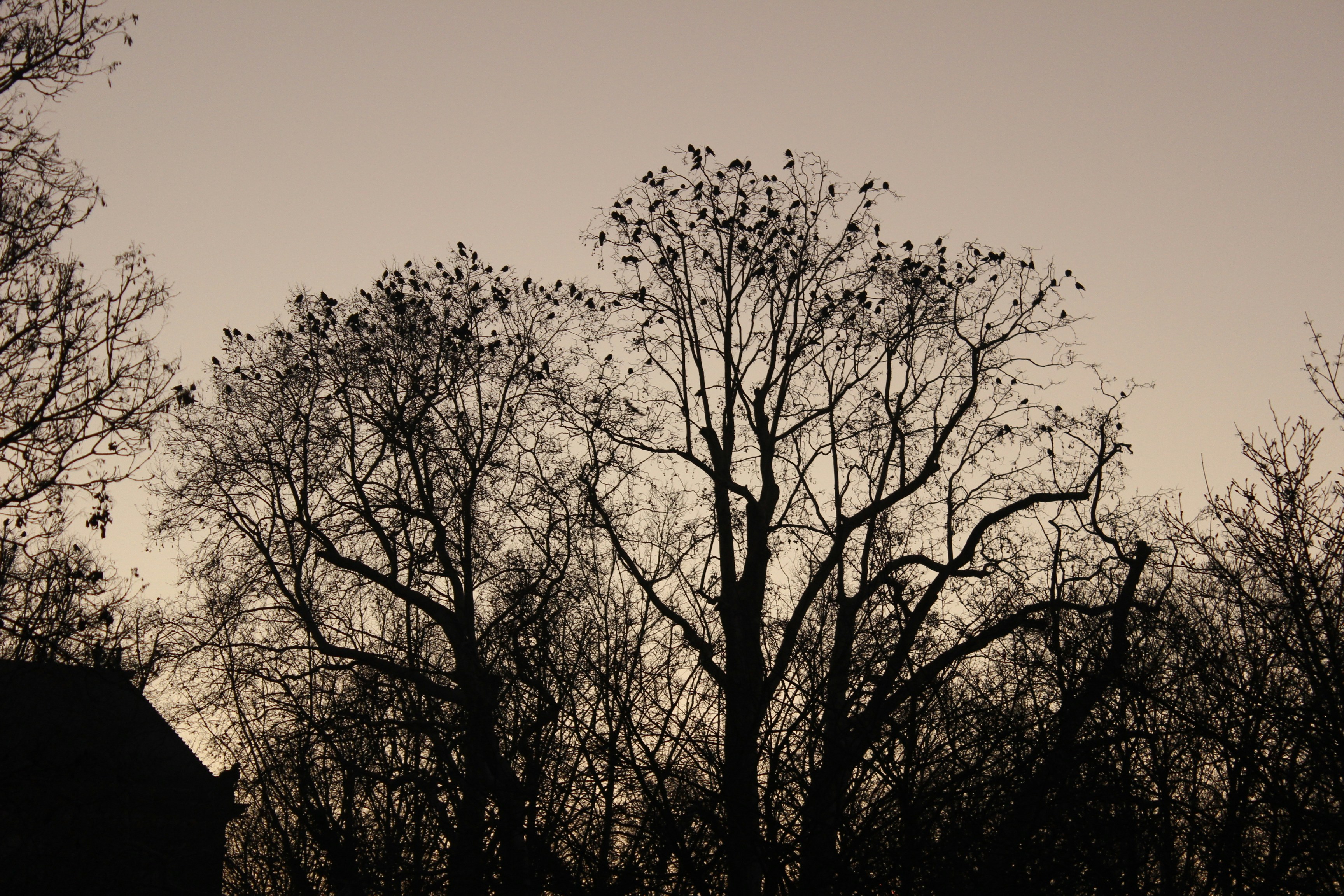 Photo by themi_photos