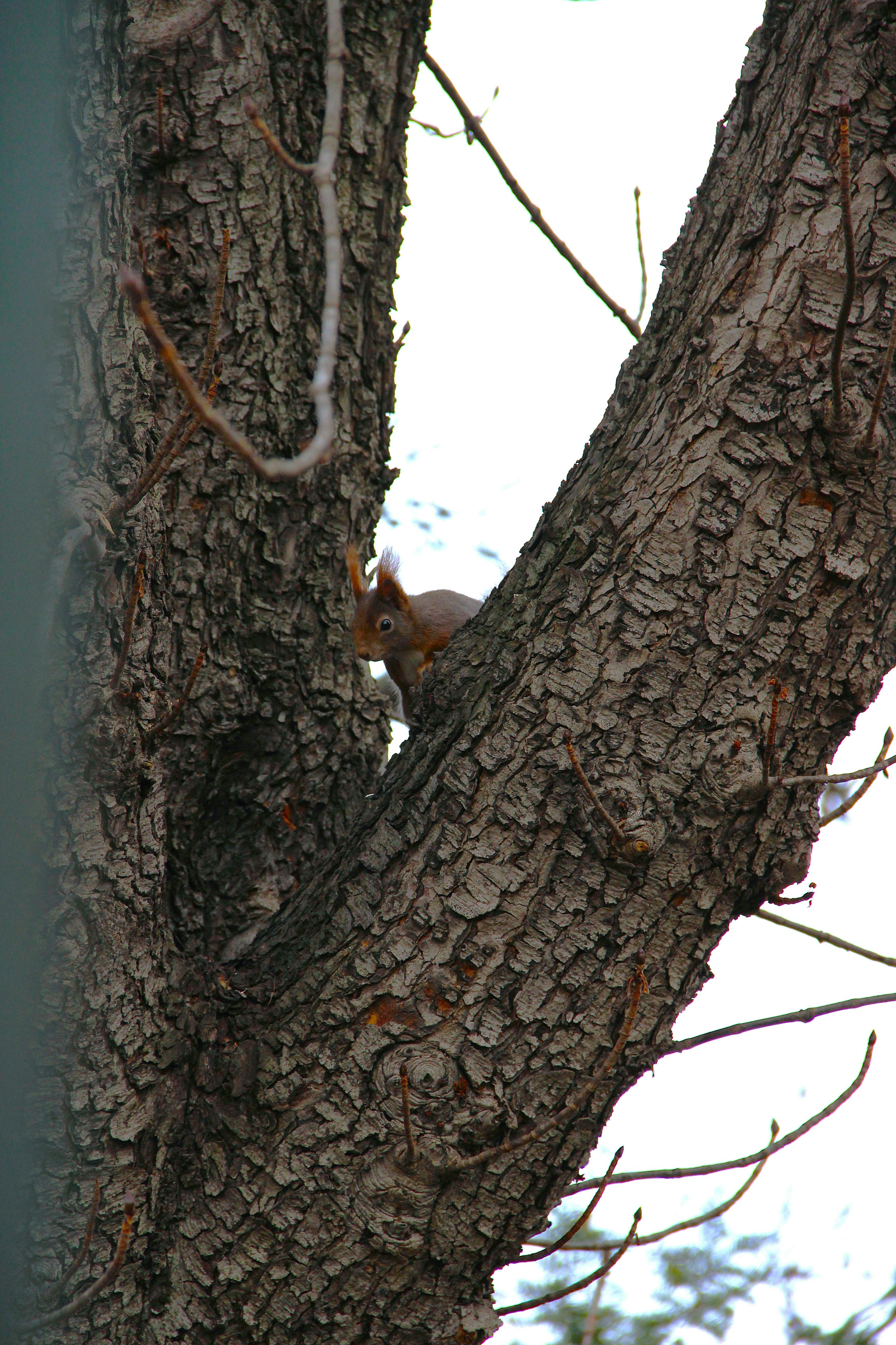 Photo by daniyarorazov