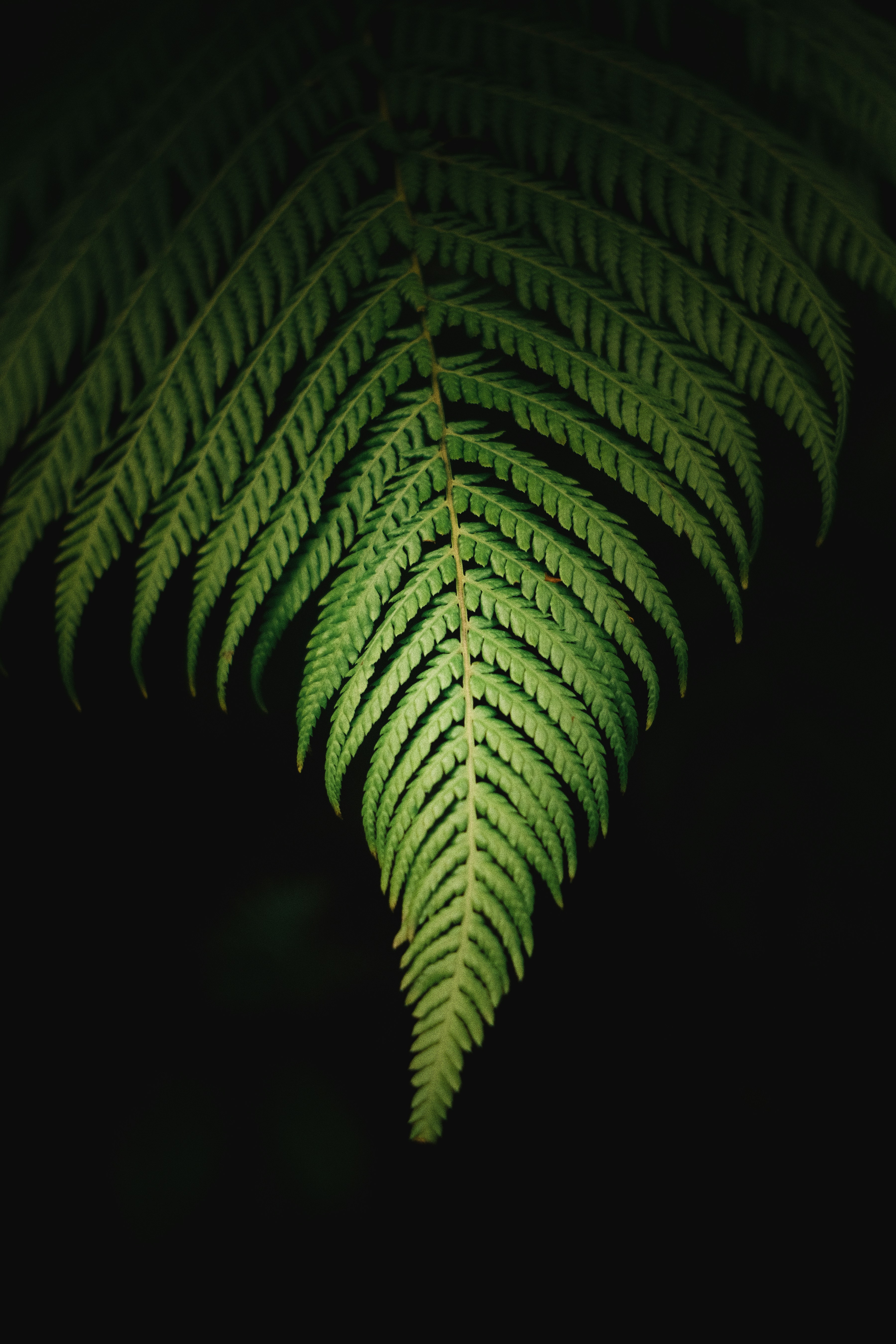 Photo by visualsbying