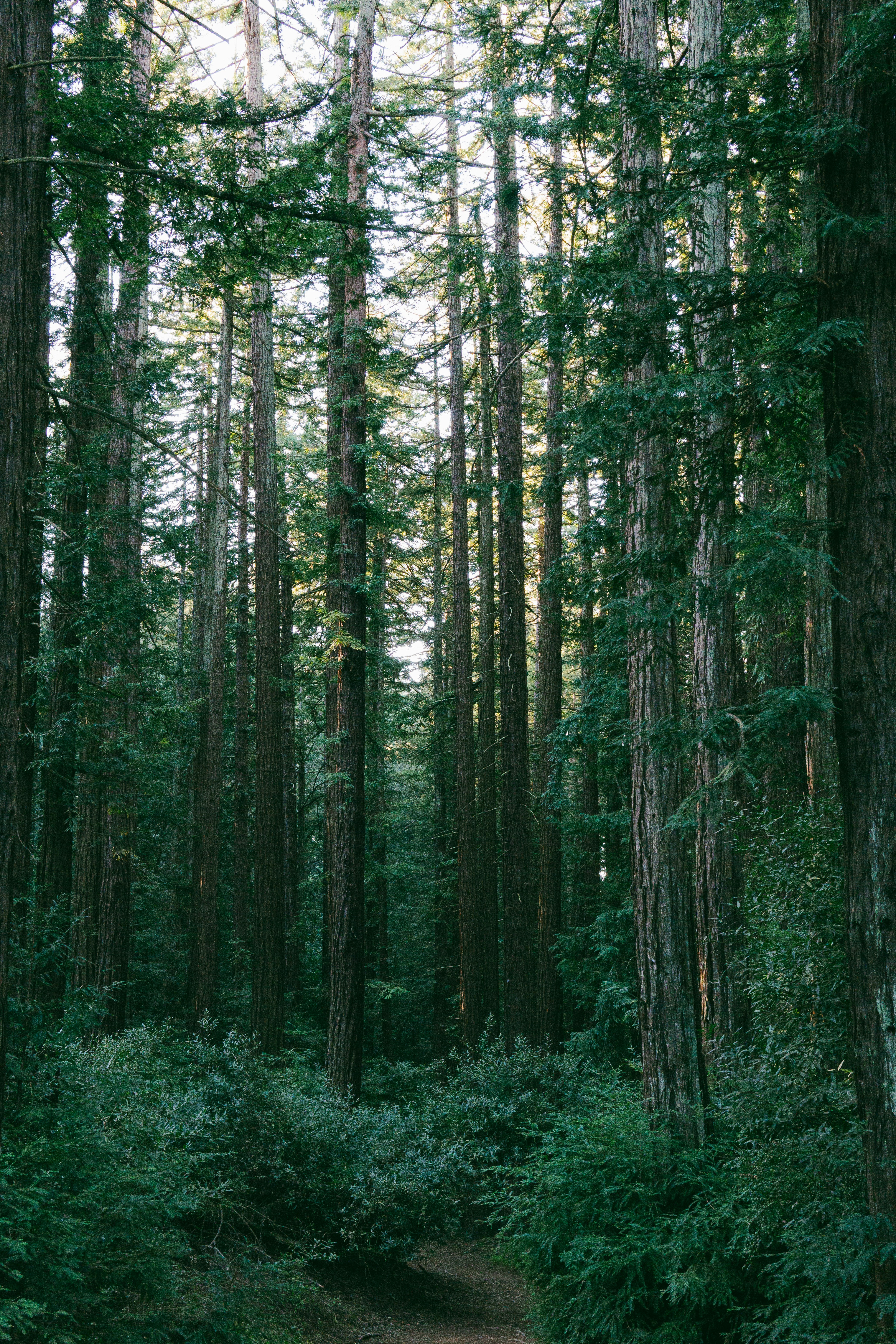 Photo by christopherstites