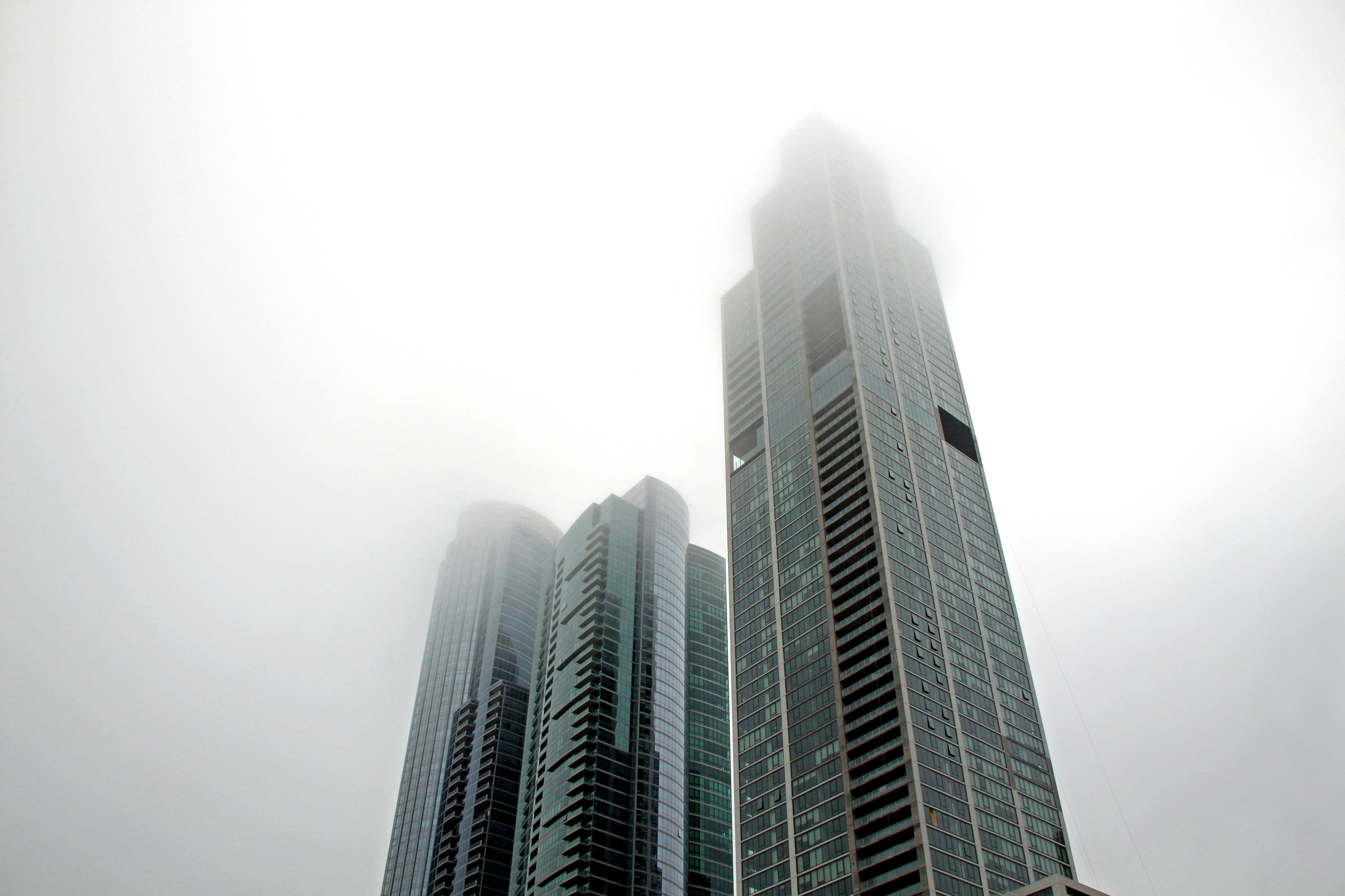 Photo by john_cardamone