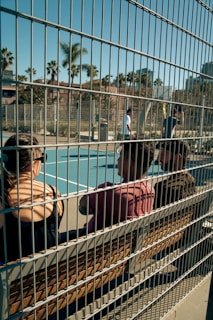 A couple of people sitting on a bench behind a fence