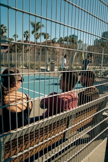 A couple of people sitting on a bench behind a fence