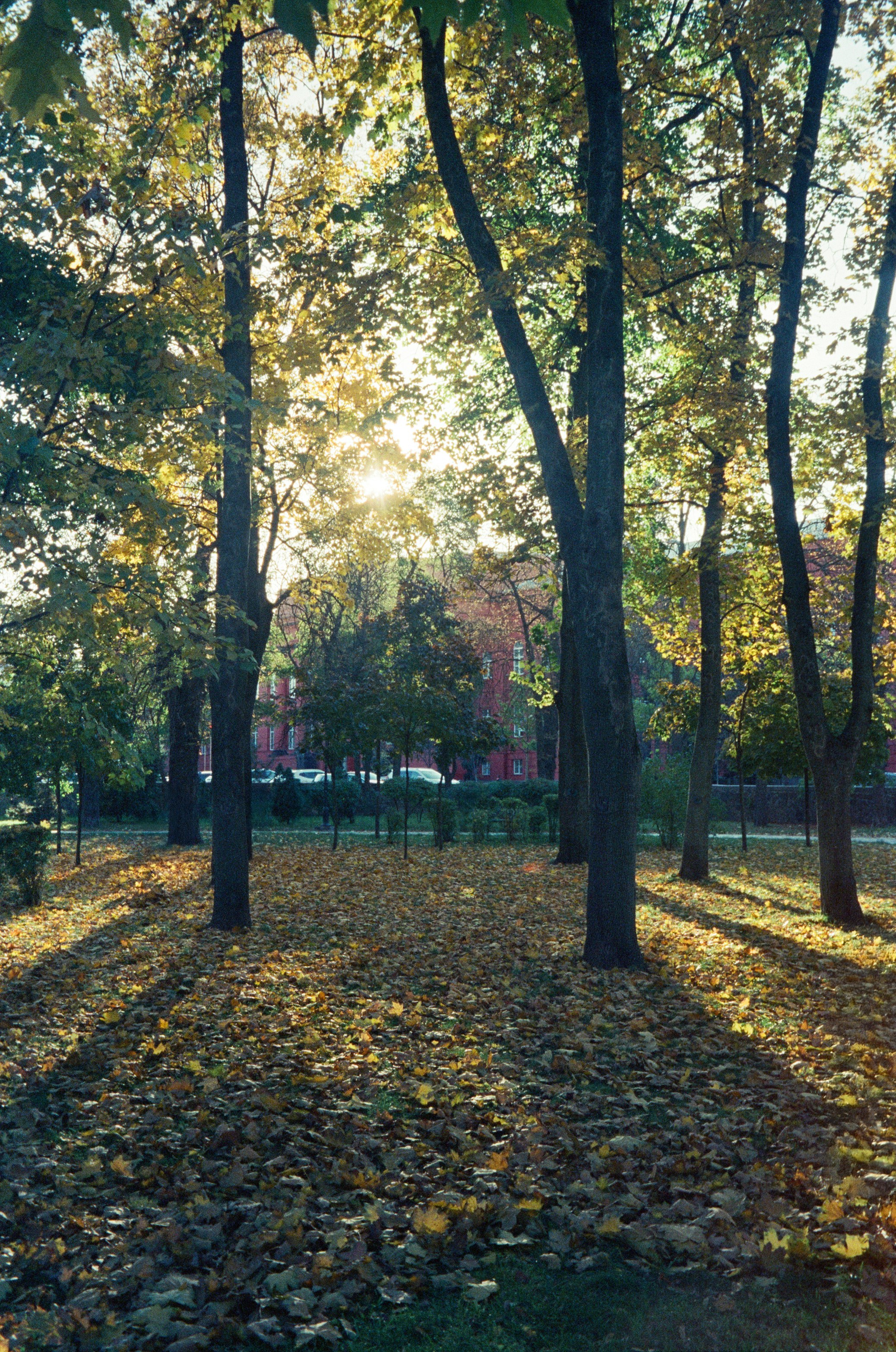 Photo by dmytrobayer