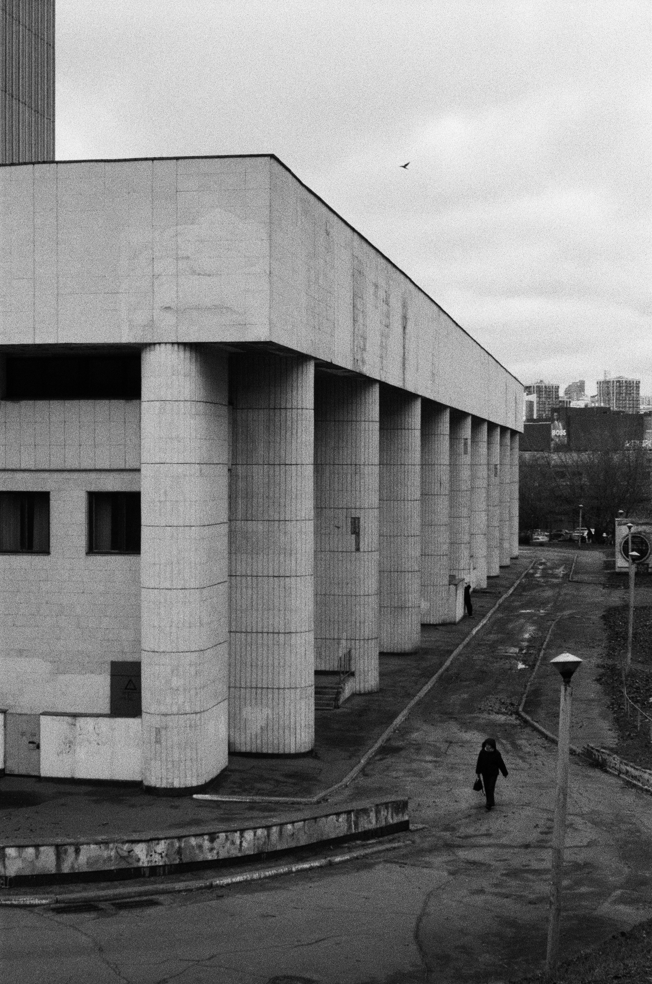 Photo by dmytrobayer