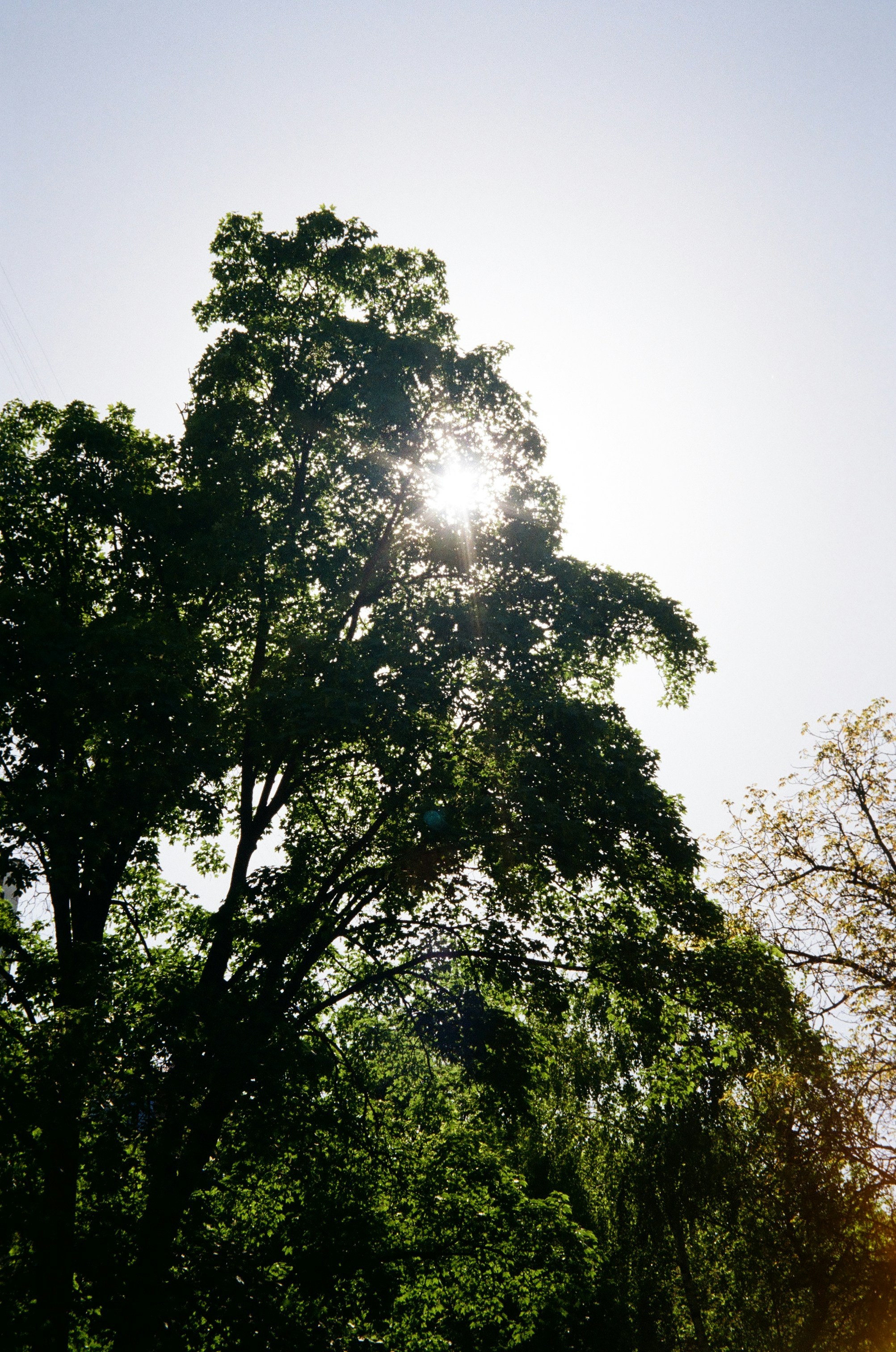 Photo by dmytrobayer