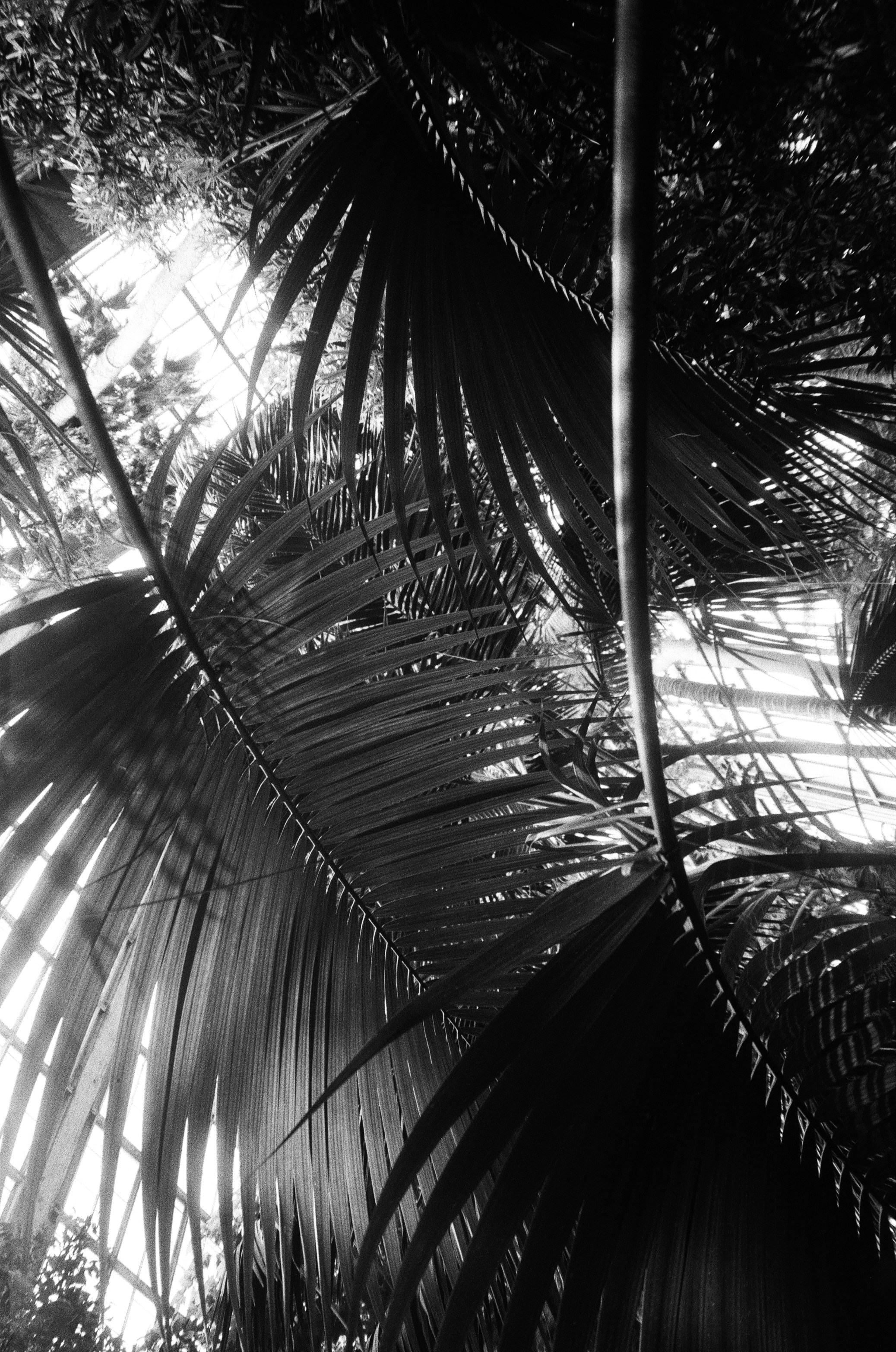 Photo by dmytrobayer