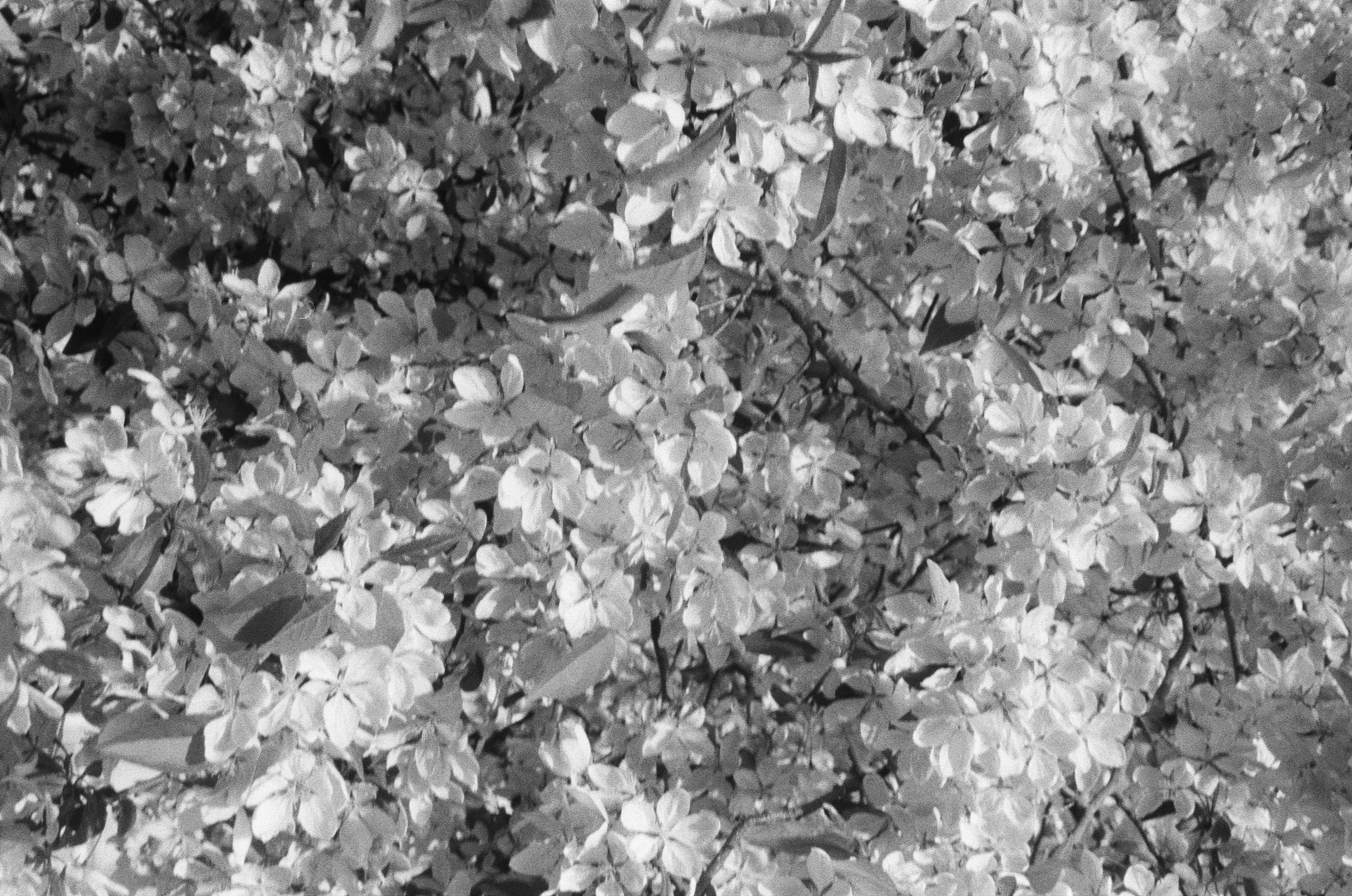 Photo by dmytrobayer