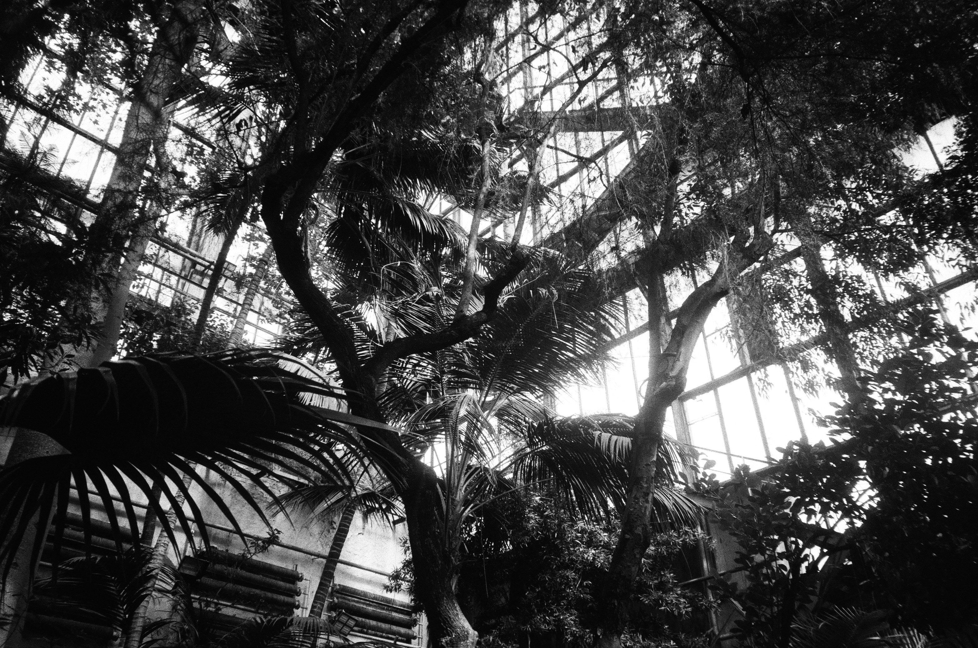 Photo by dmytrobayer