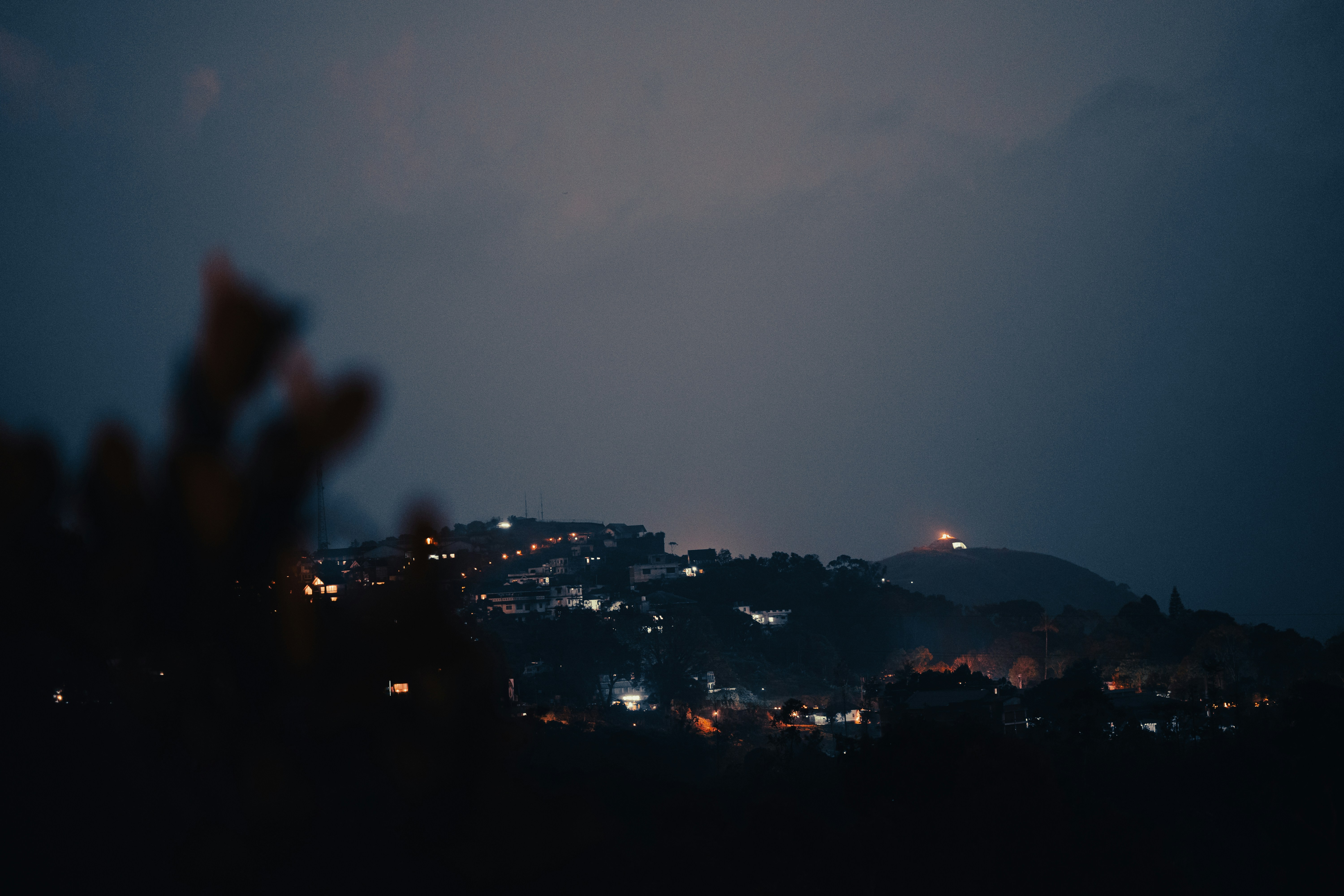 Photo by wish_species