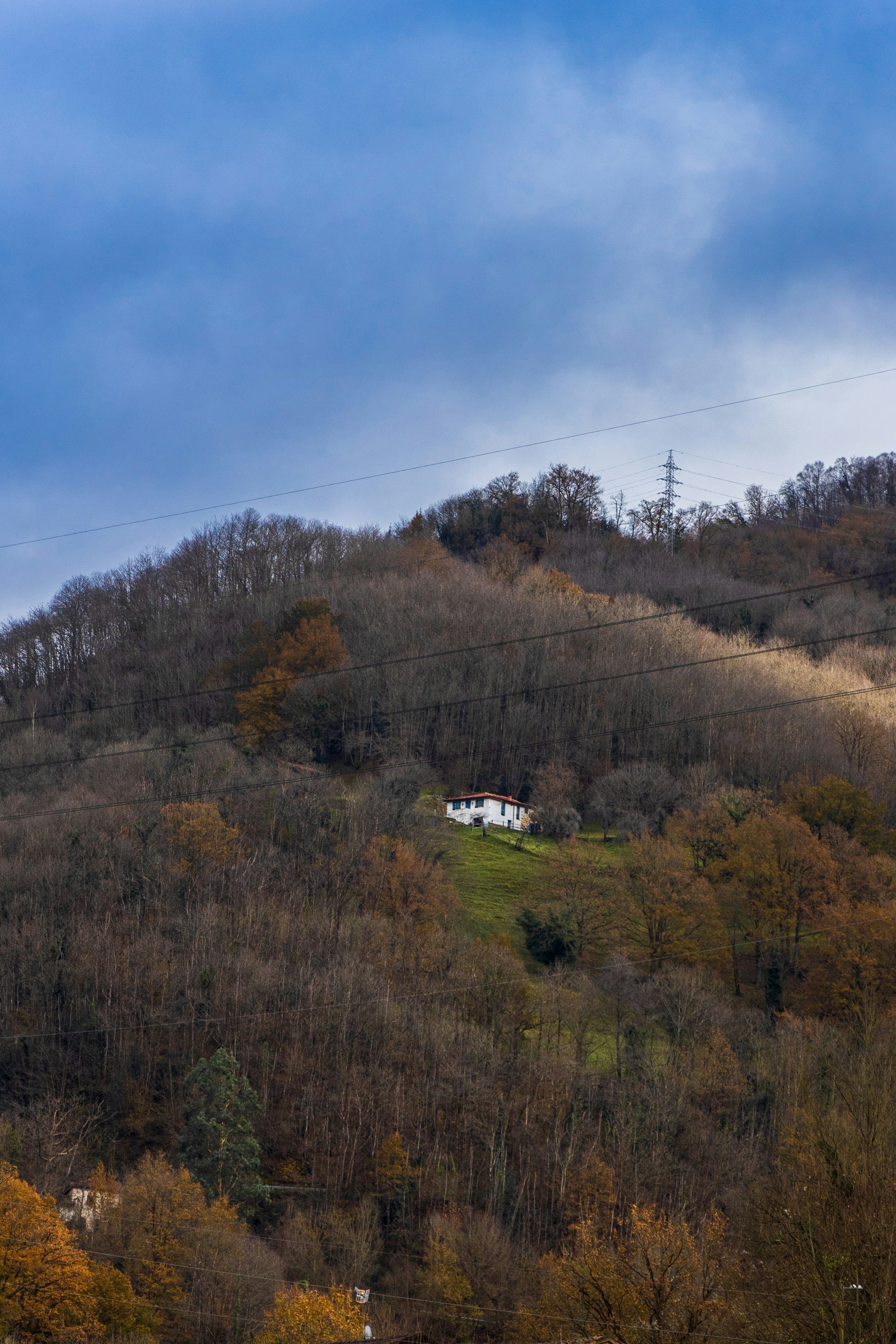 Photo by mariacorralesvar