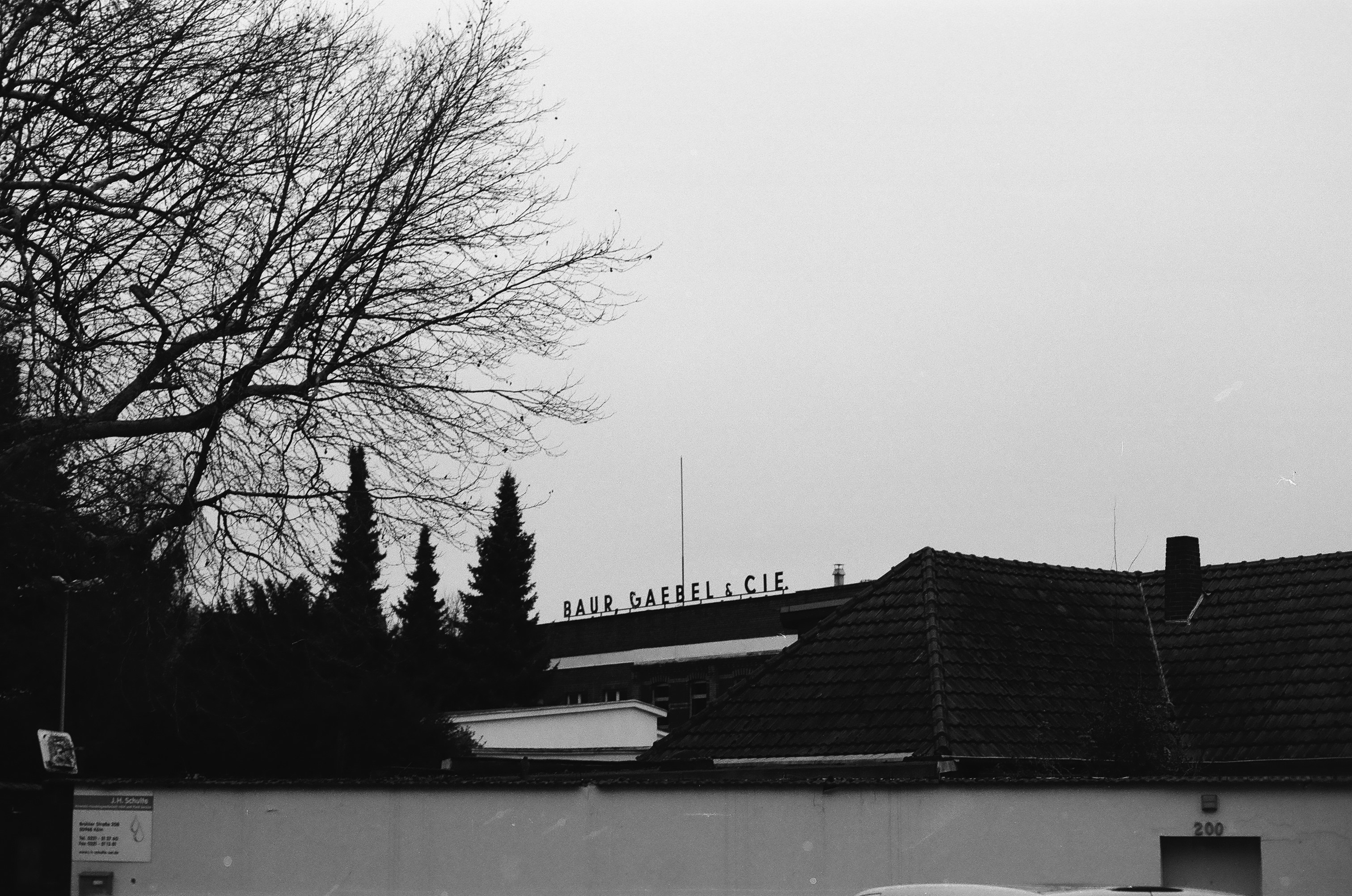 Photo by arishojaei