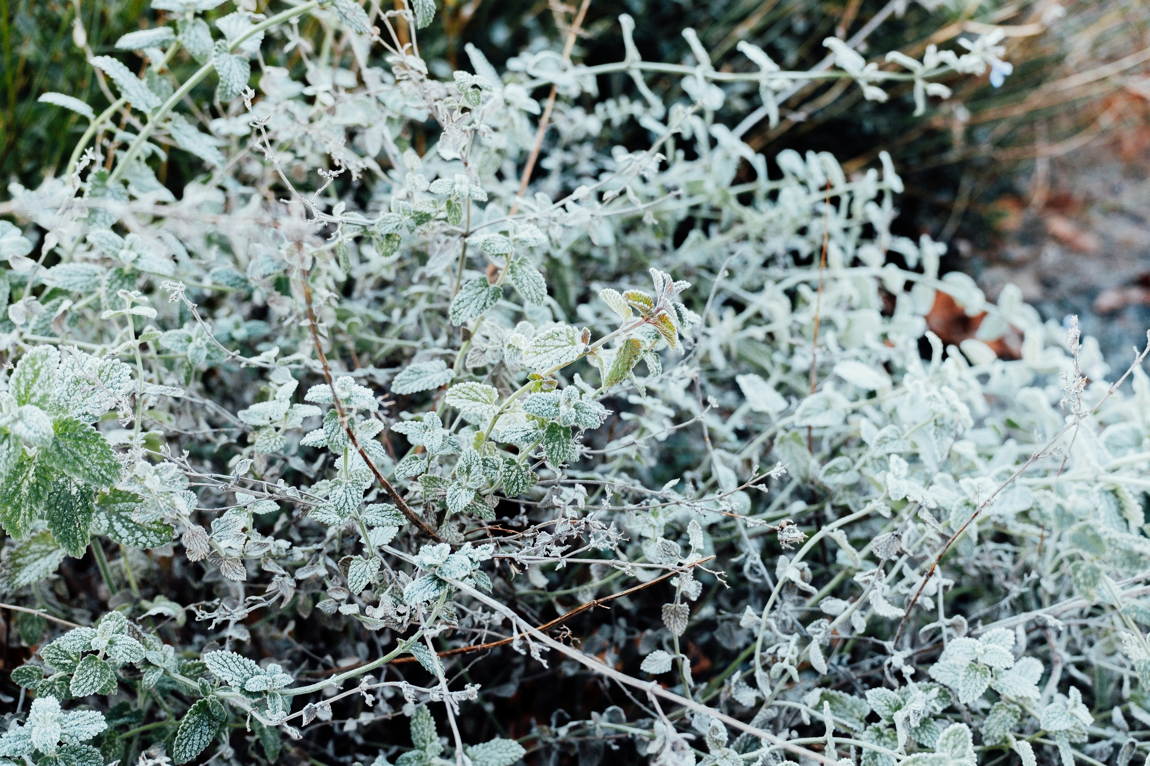 Photo by markuswinkler