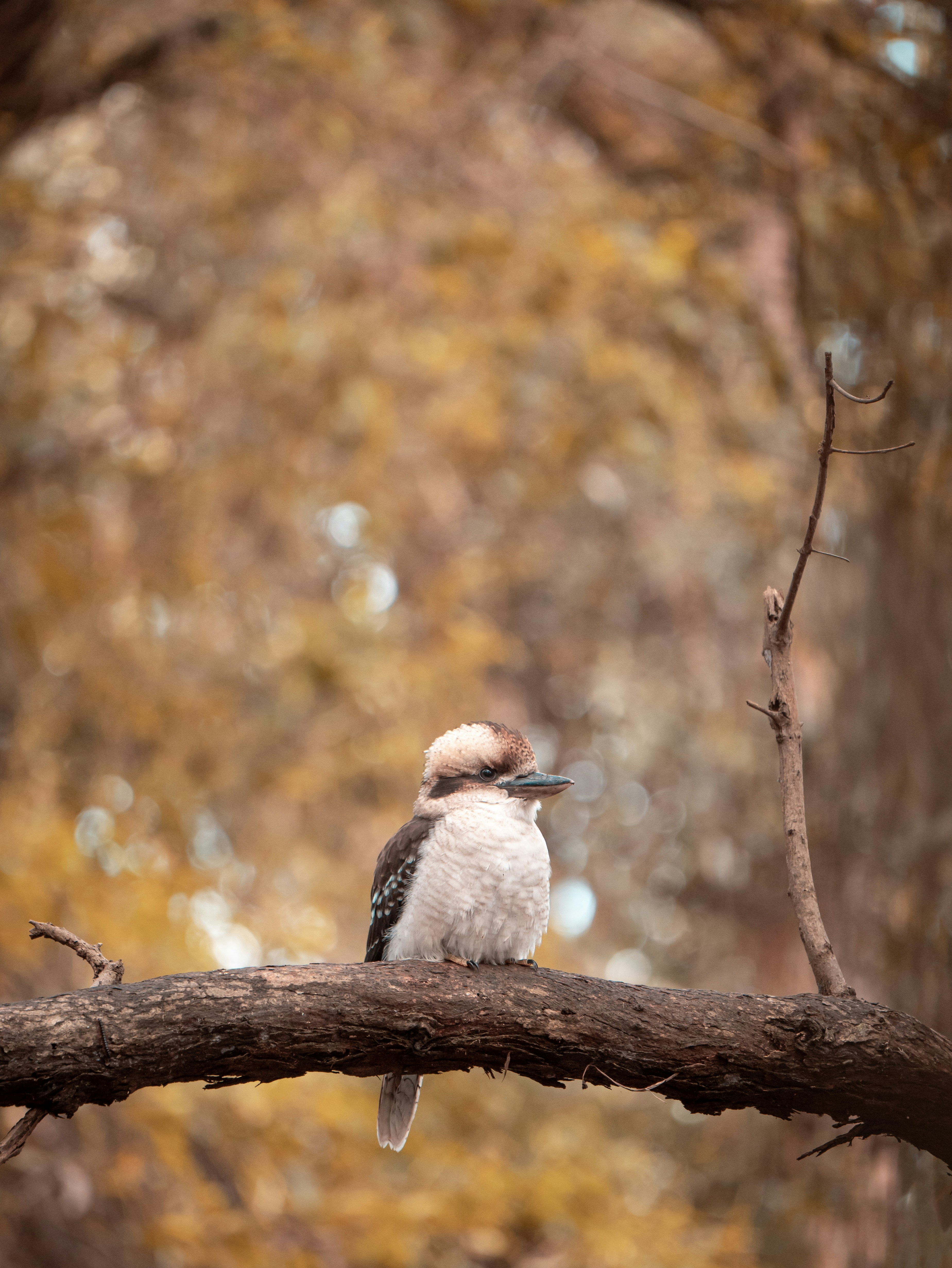 Photo by junelmujar