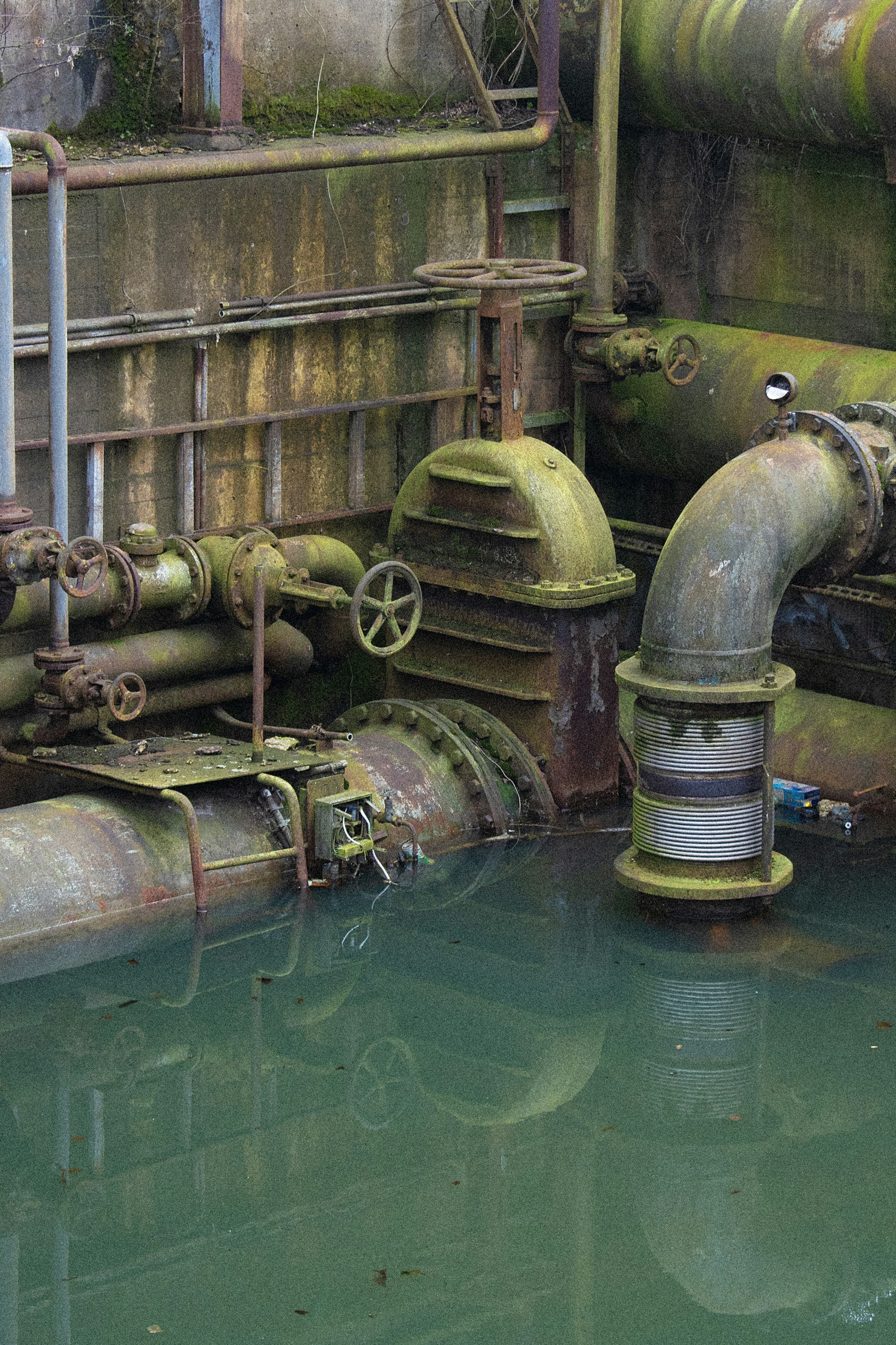 A group of pipes that are in the water