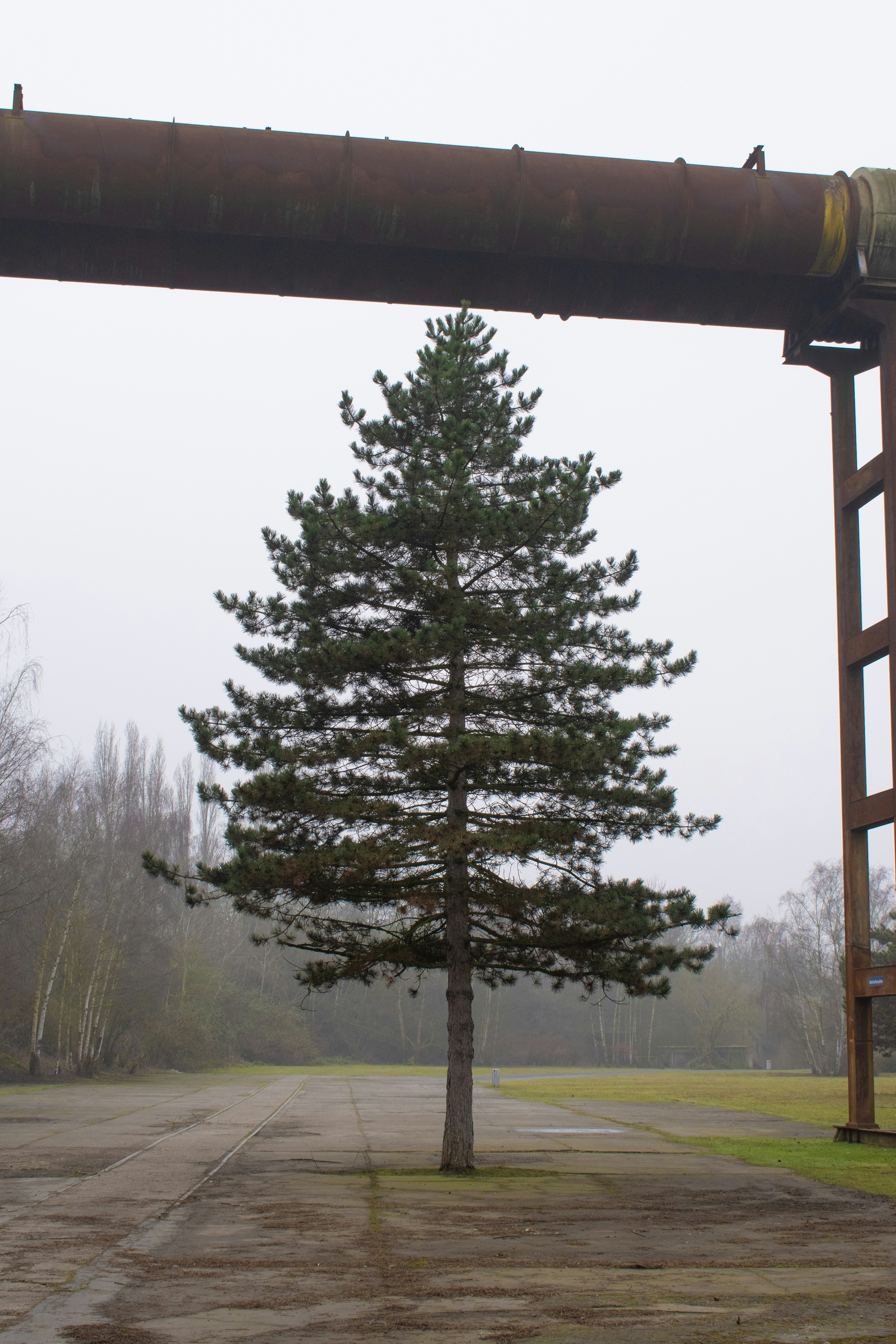 A large pipe on top of a wooden structure