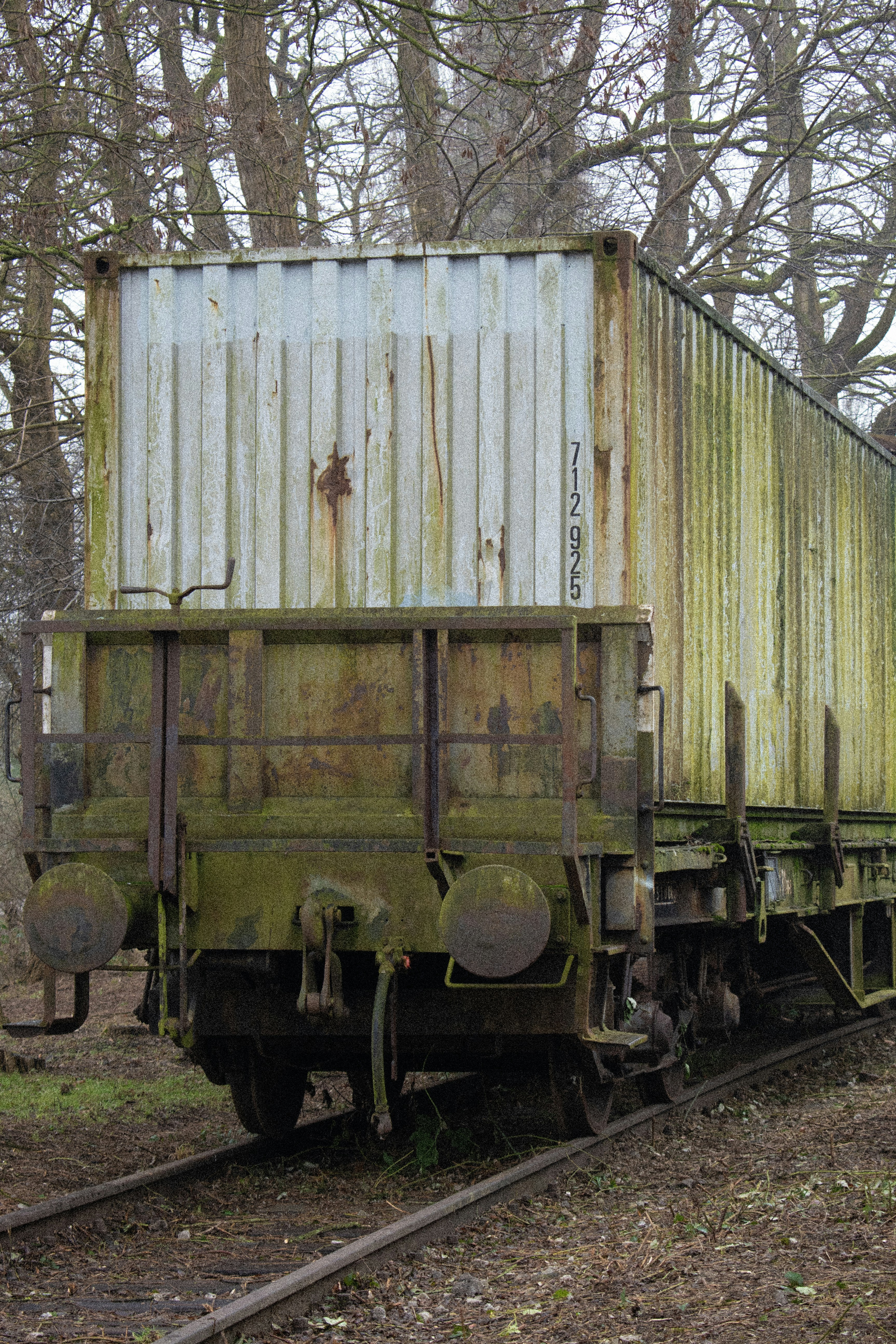 A train car sitting on the tracks in the woods
