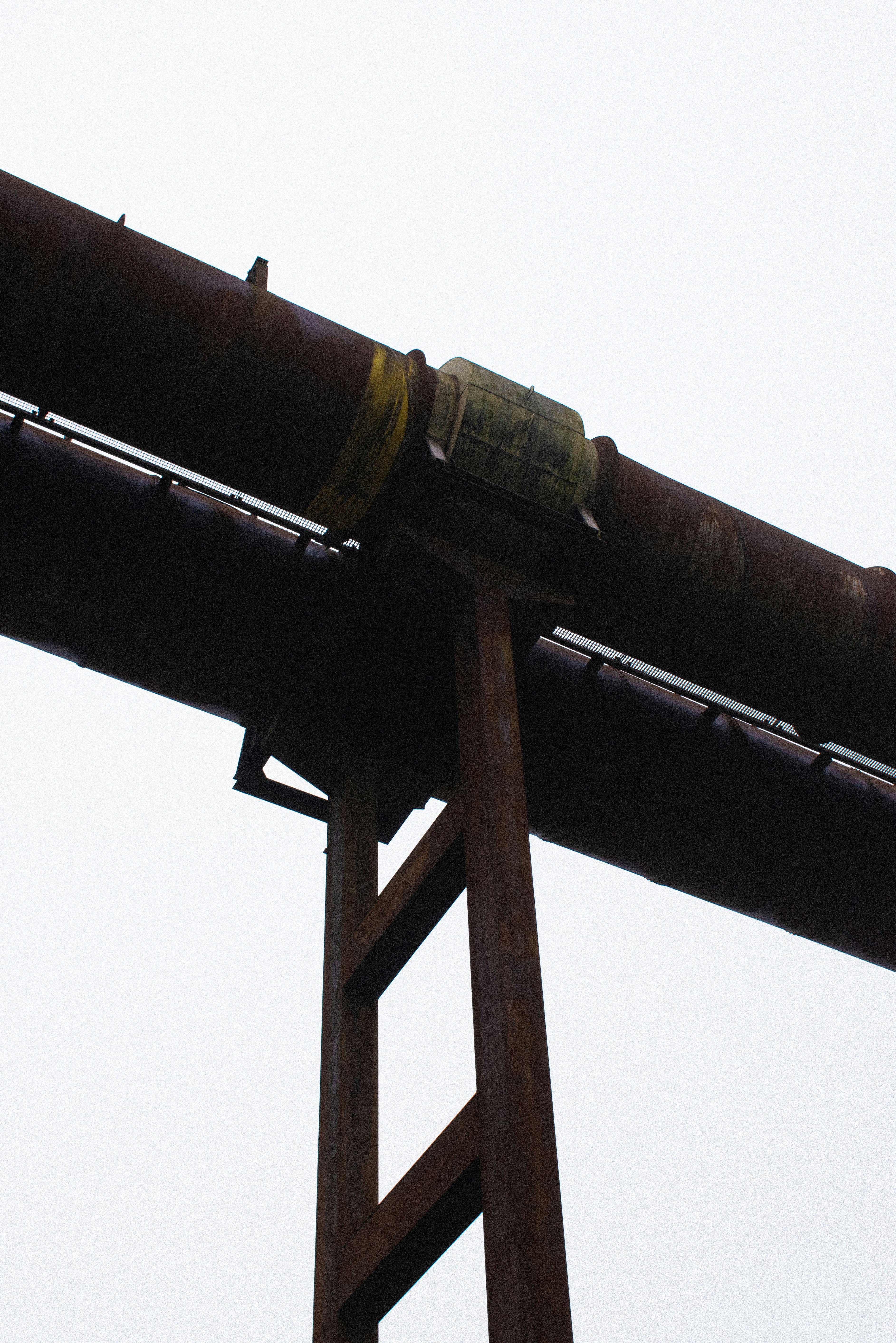 A bird sitting on top of a metal pipe