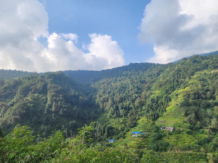 Best Chai Spots