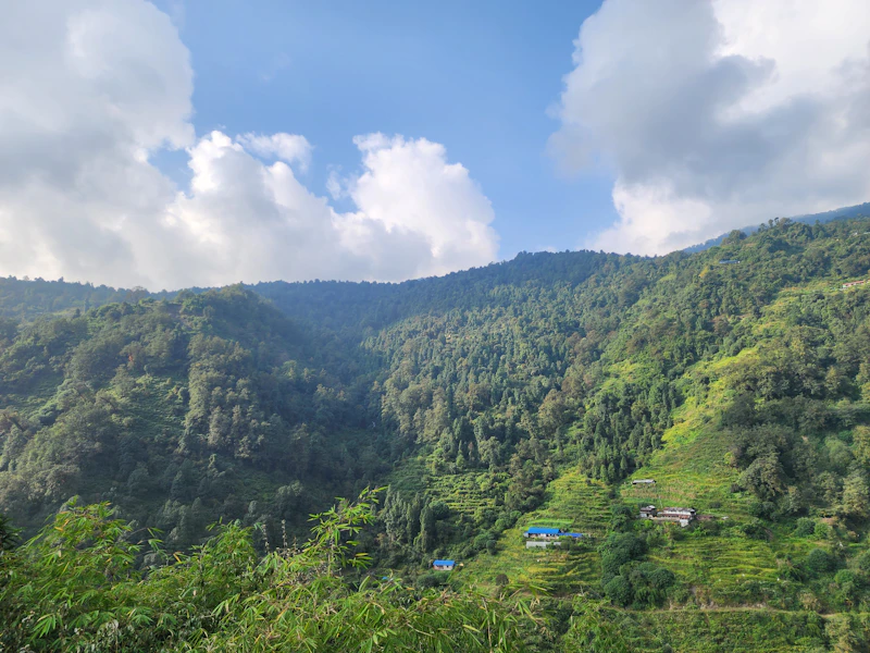 Best Chai Spots in Shillong: Where Locals Actually Stop for a Cup
