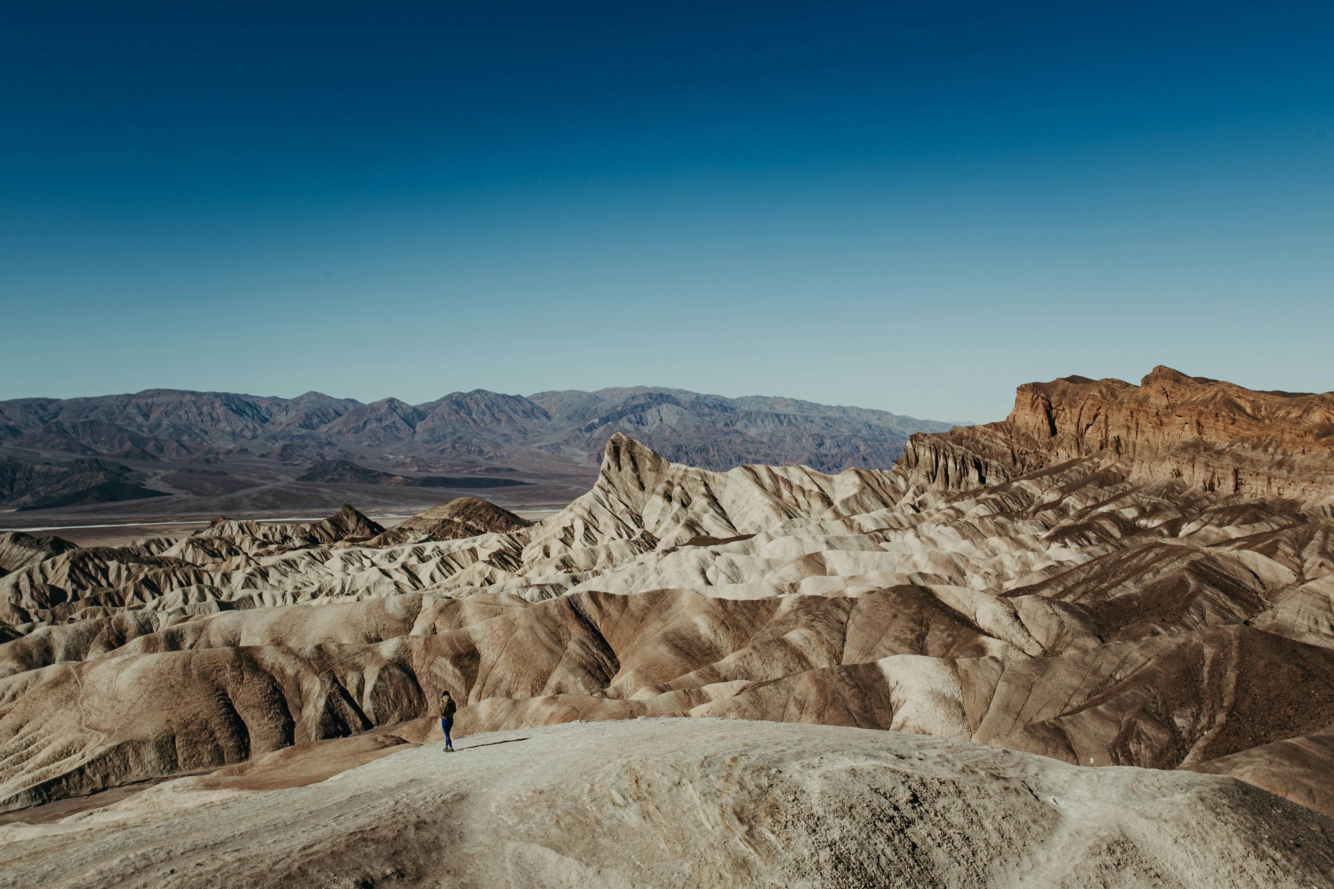 Photo by palosstudio