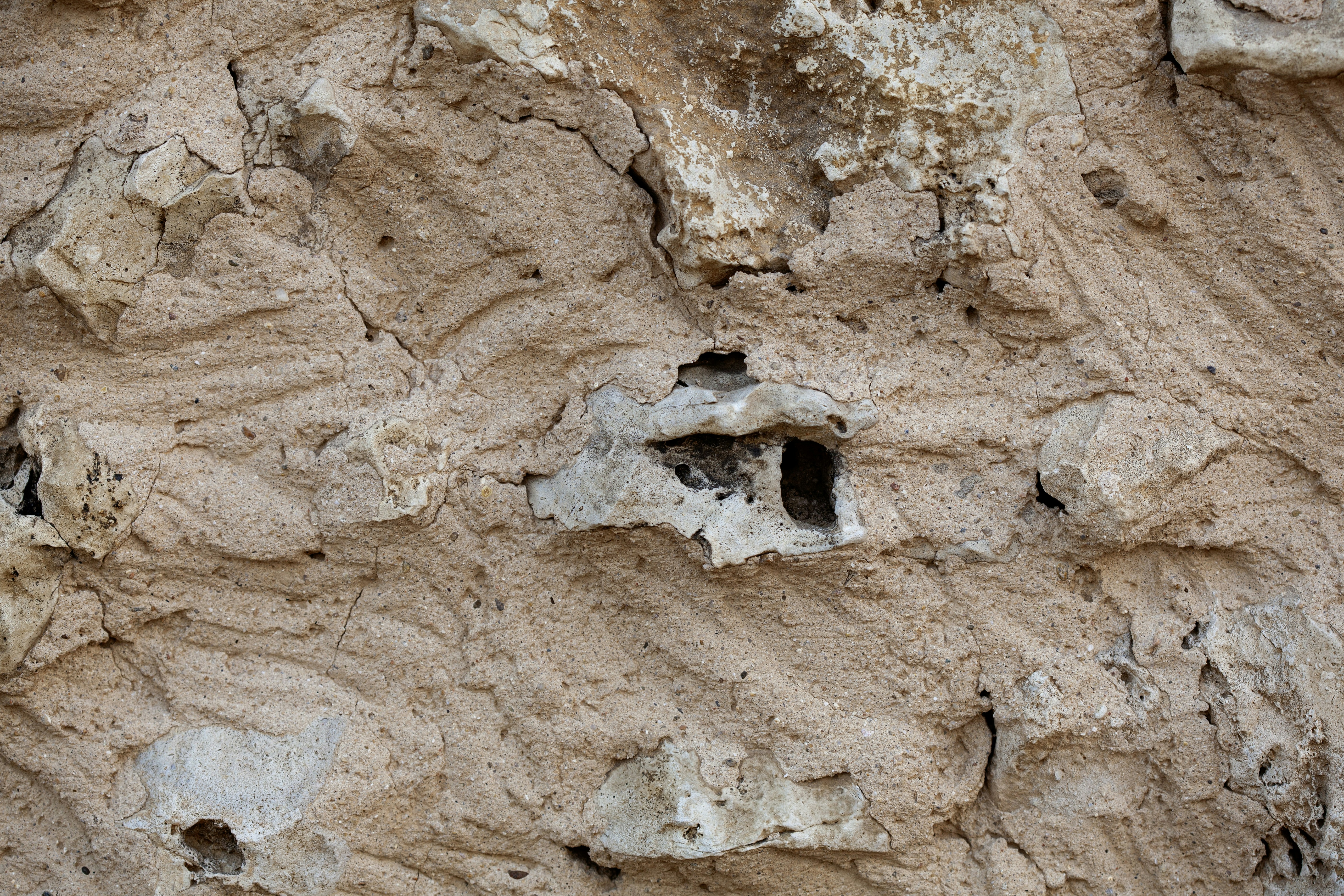 A close up of a rock face with holes in it