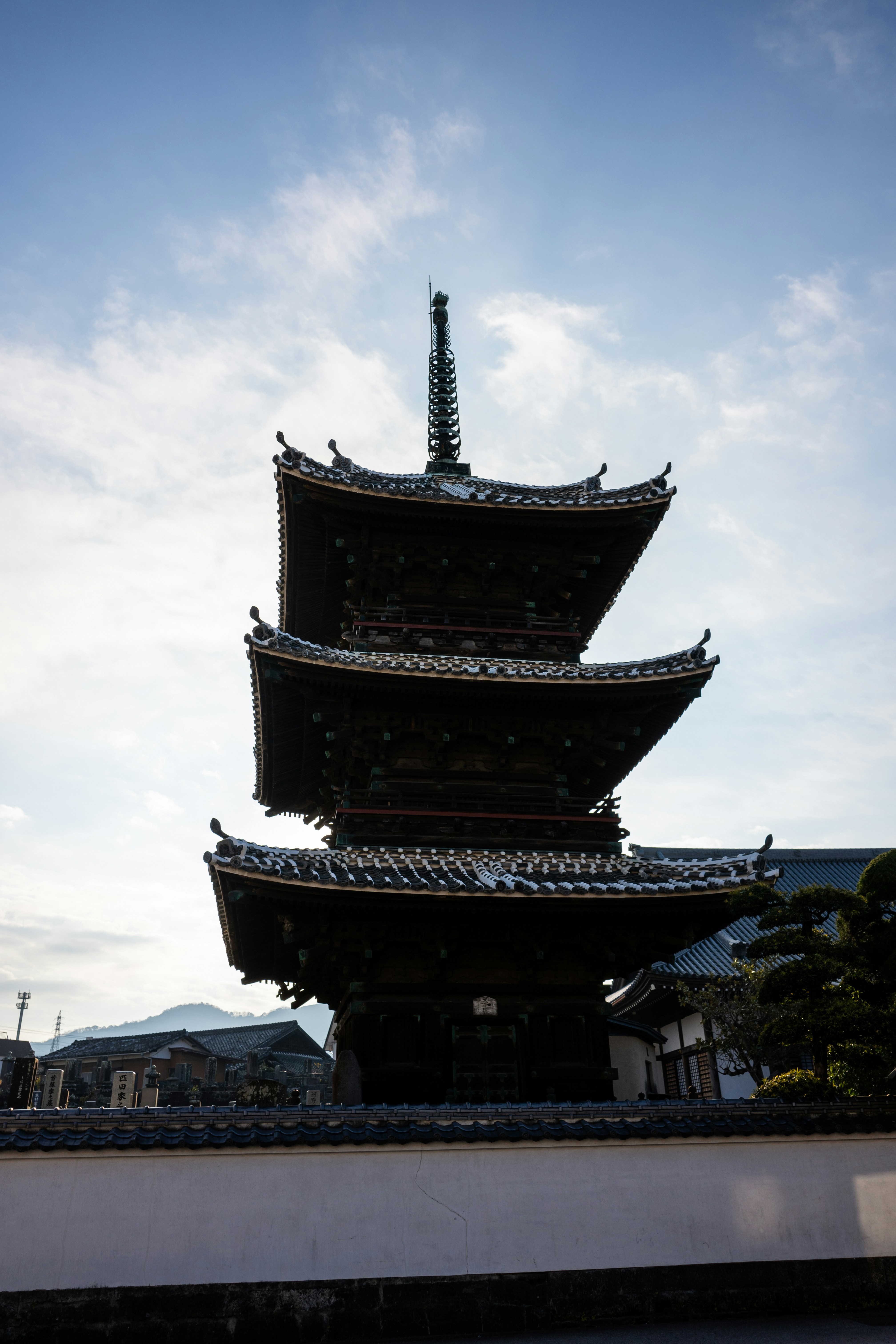 Photo by pafuxu