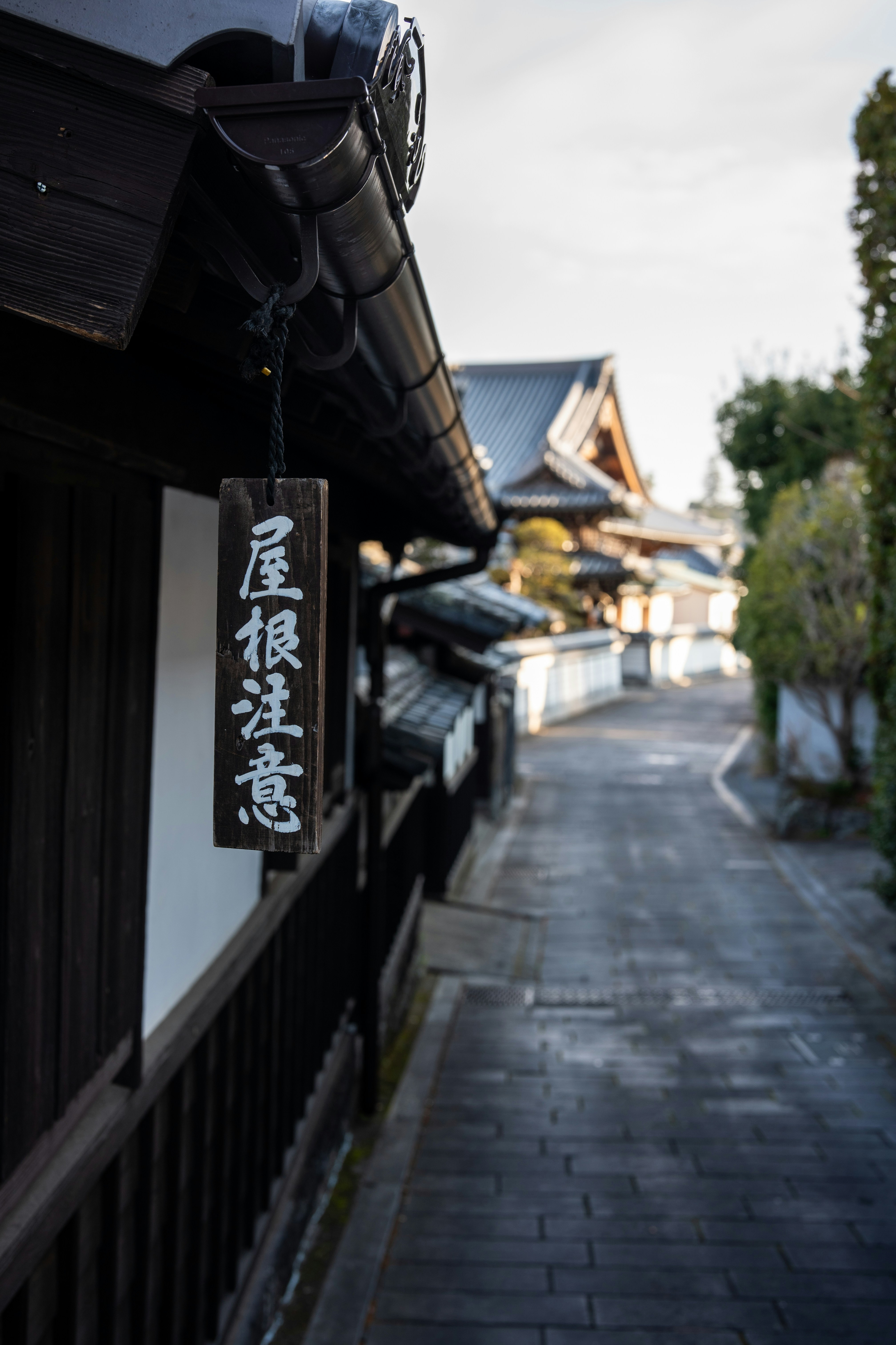 Photo by pafuxu