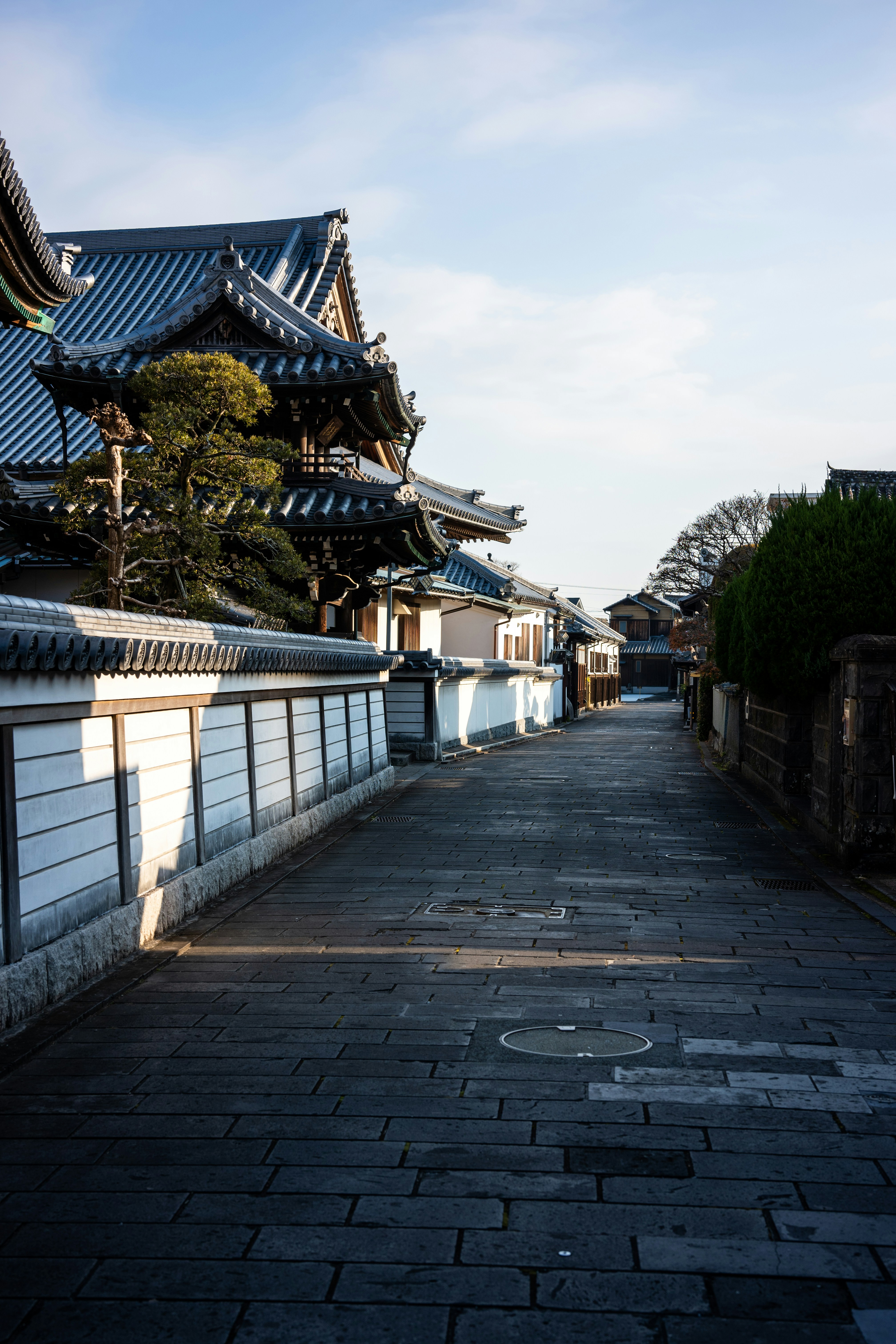Photo by pafuxu