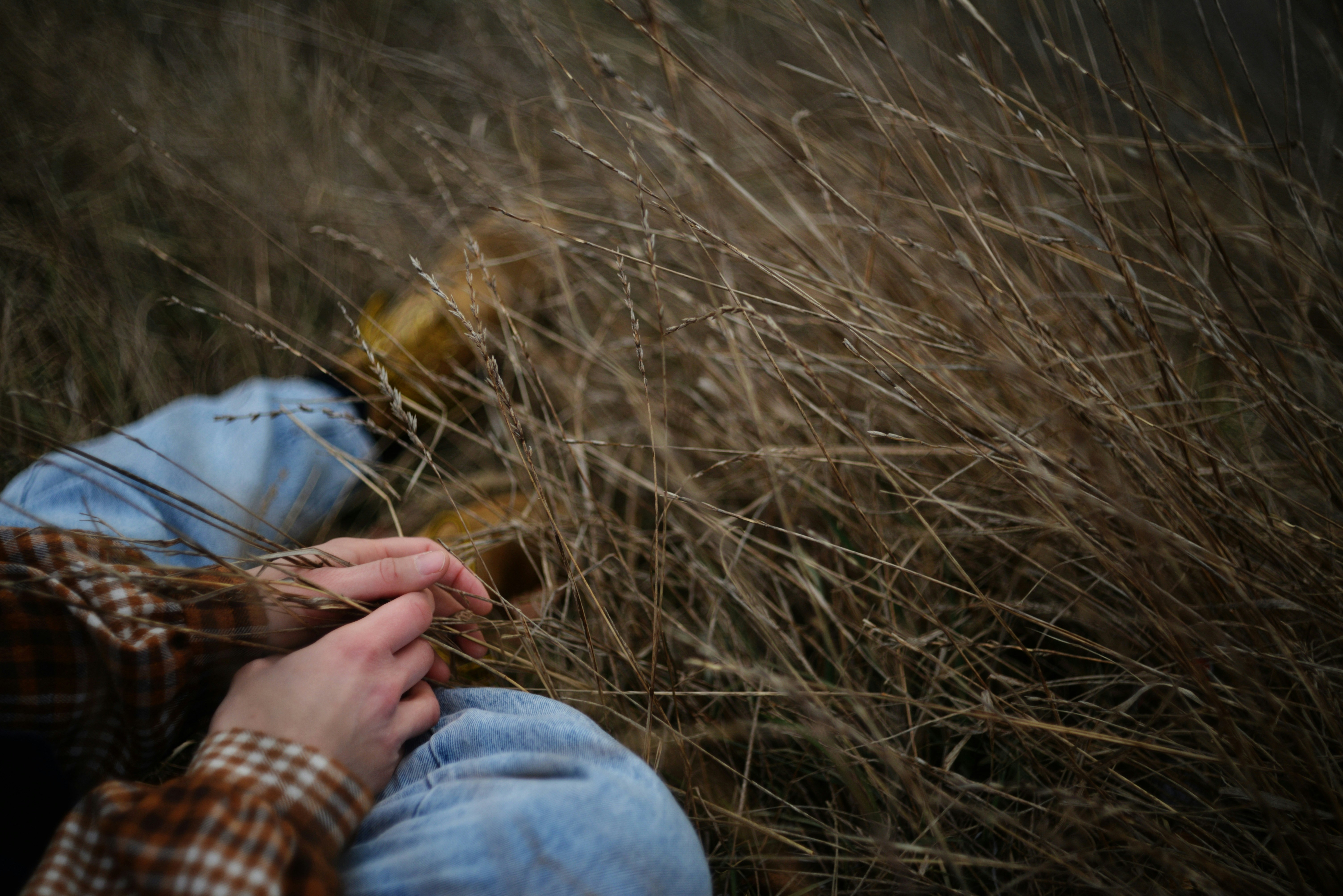 Photo by cherstve_pechivo