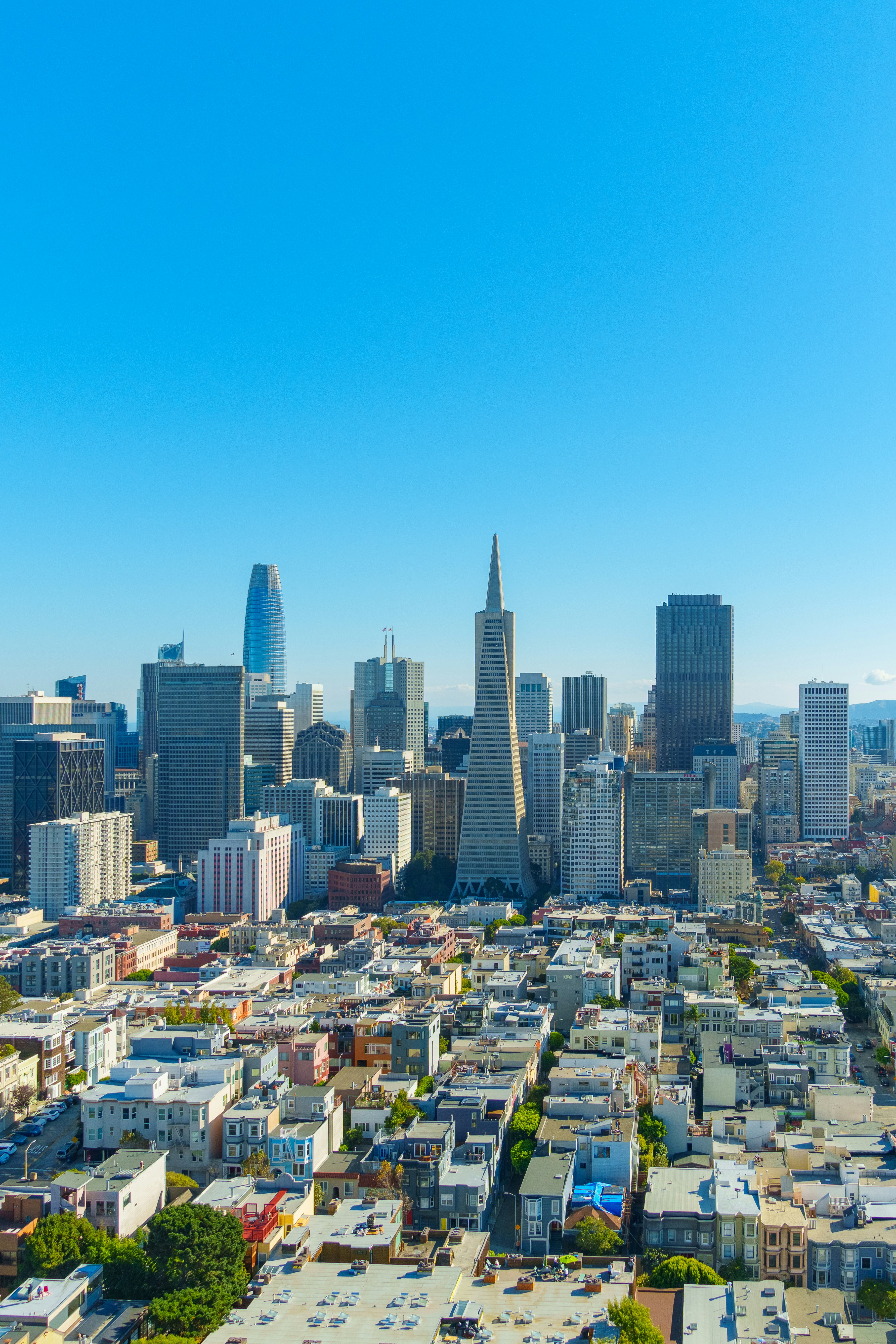 Photo by alirezamirzabegi