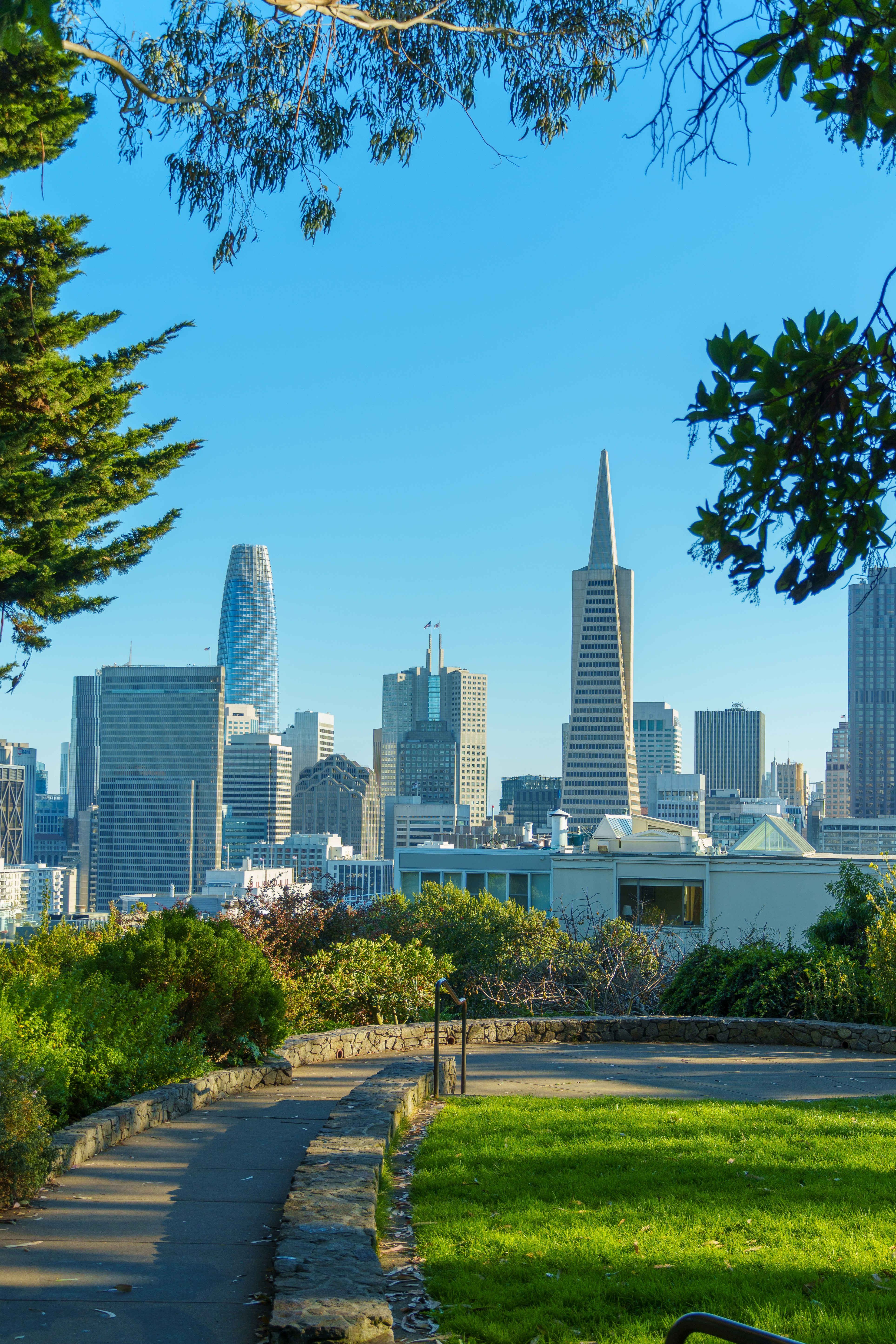 A park with a bench and a view of the city
