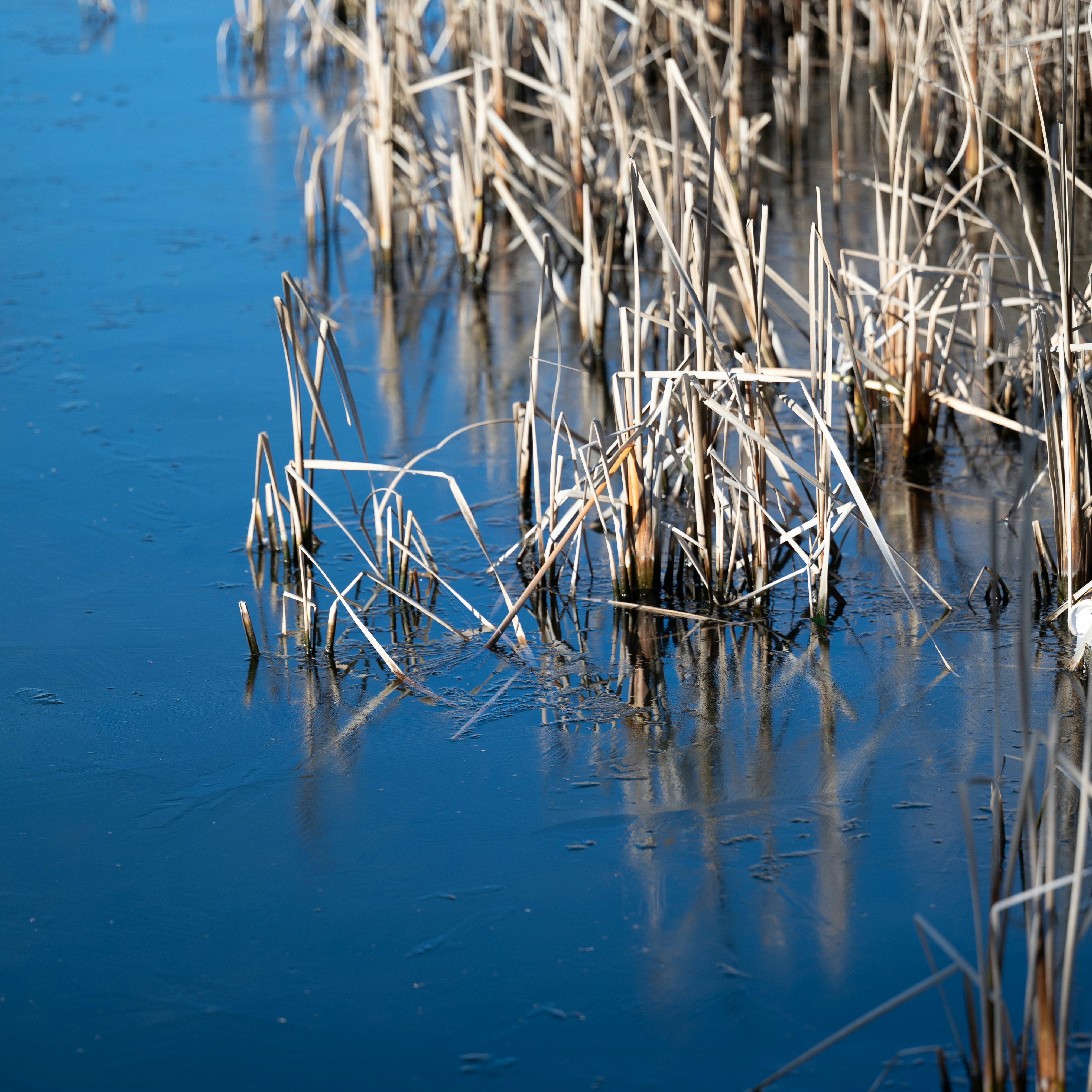 Photo by jonathankslim