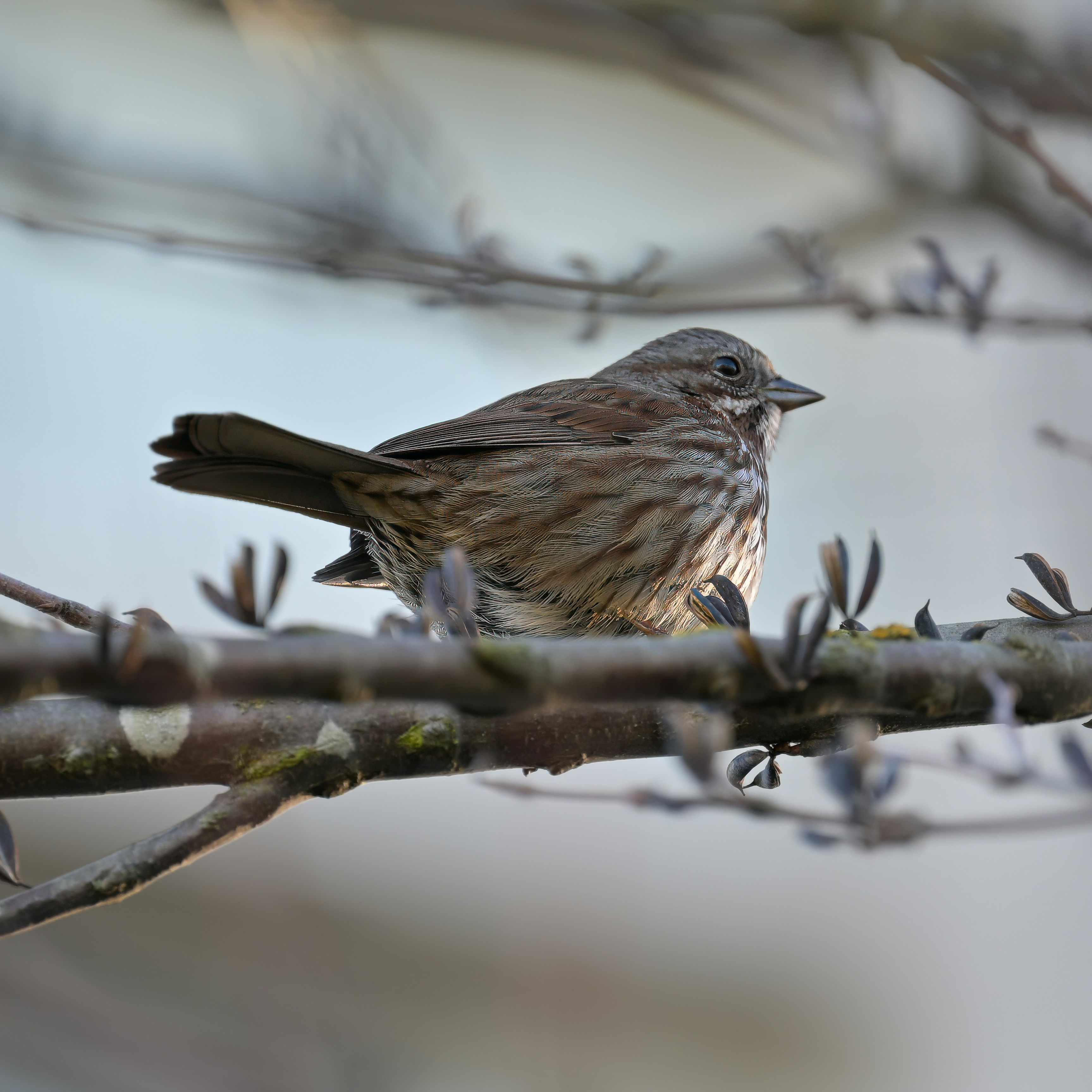 Photo by jonathankslim