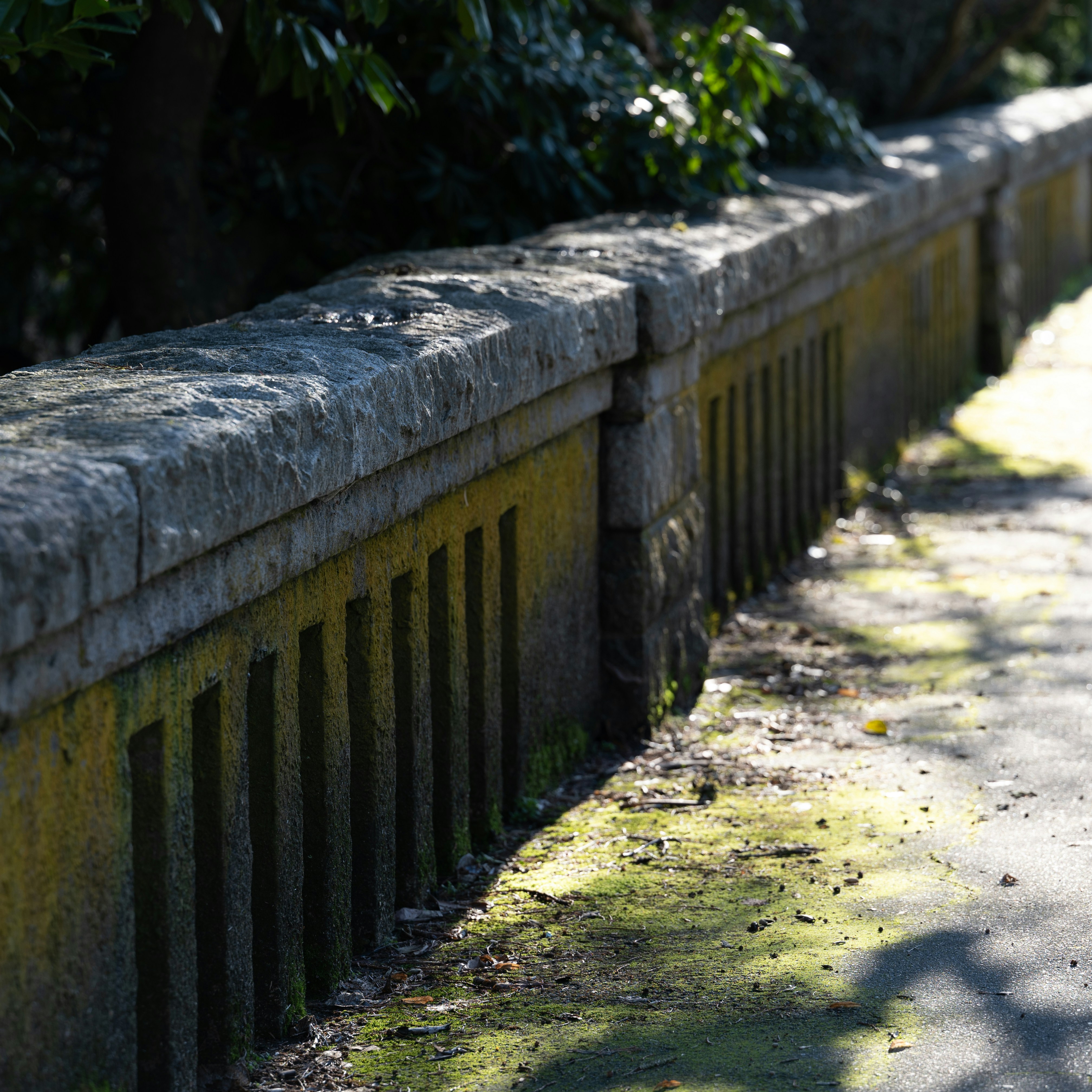 Photo by jonathankslim