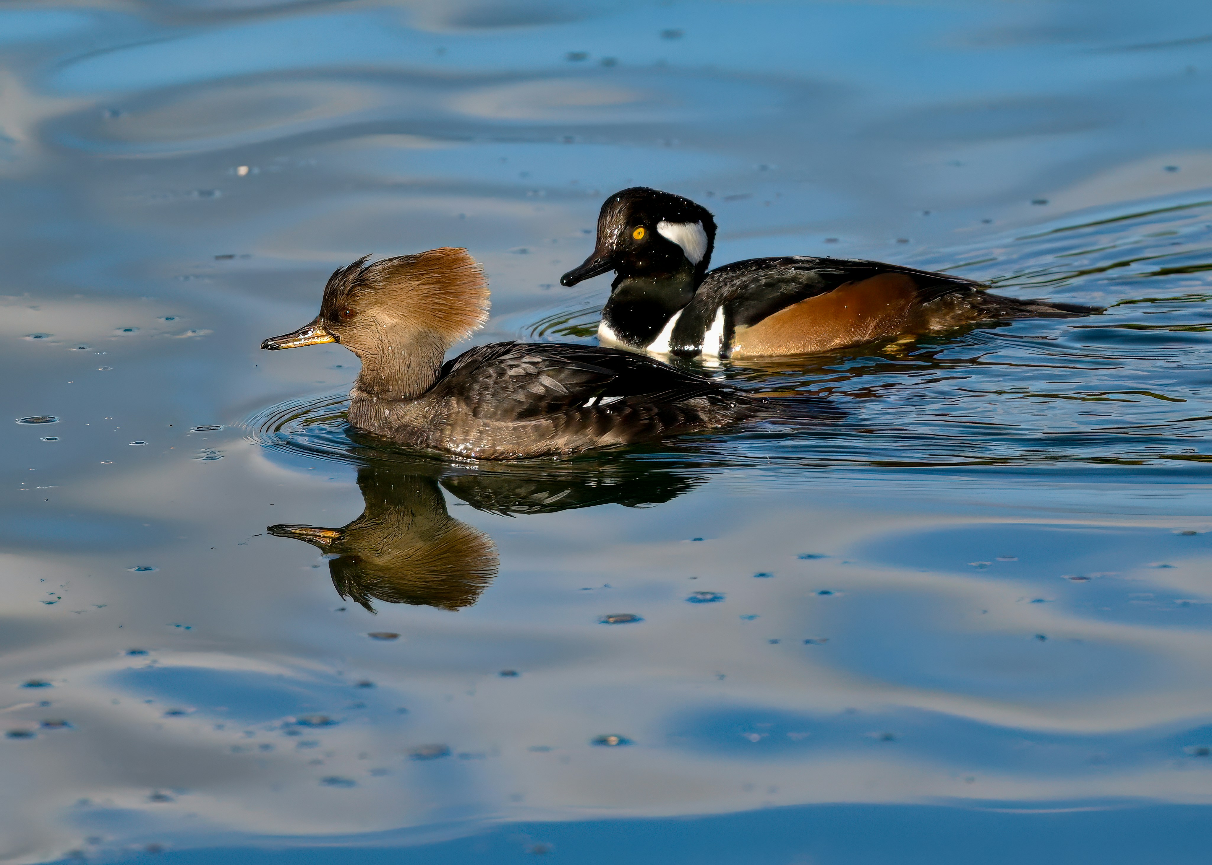 Photo by jonathankslim