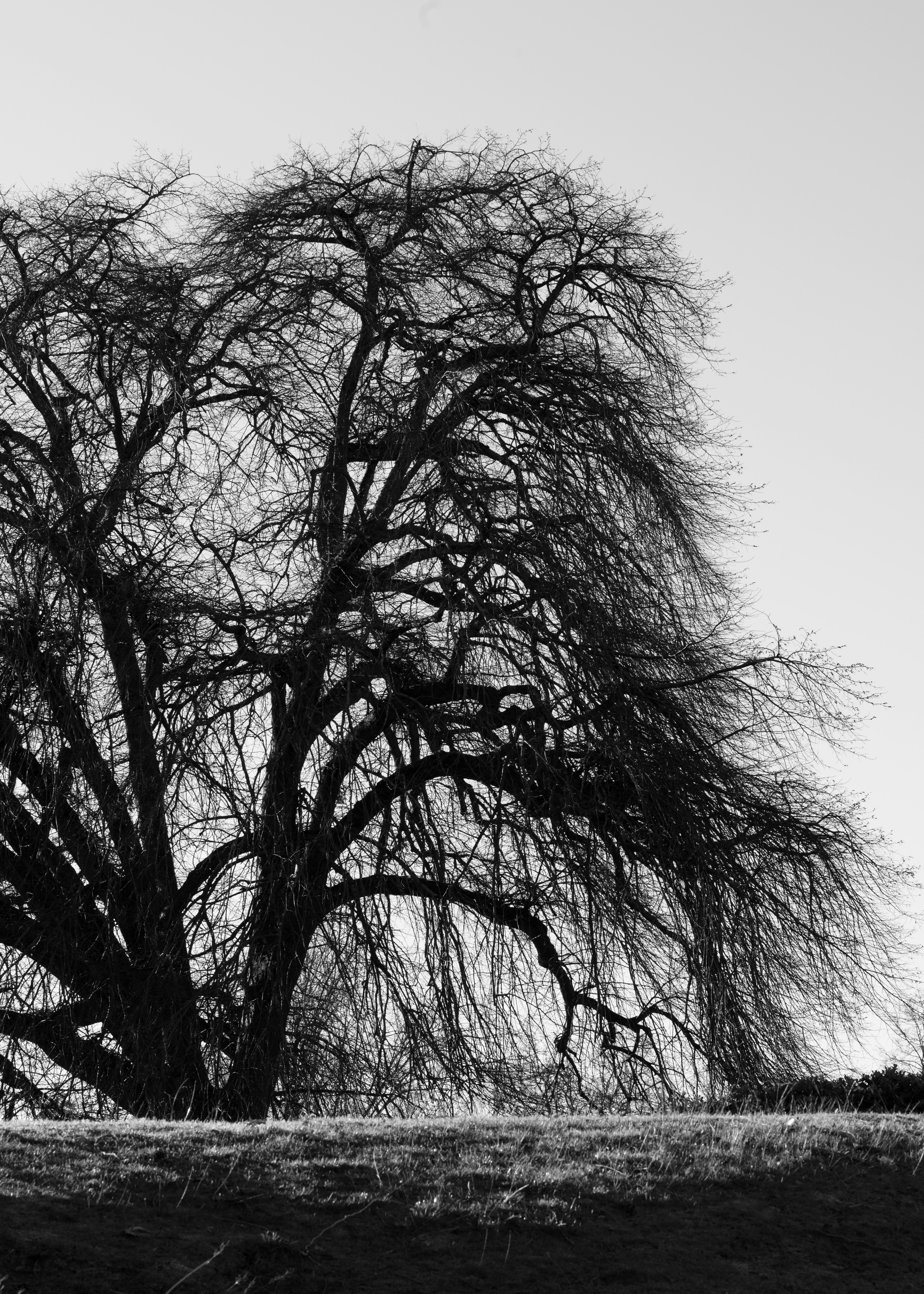 Photo by jonathankslim