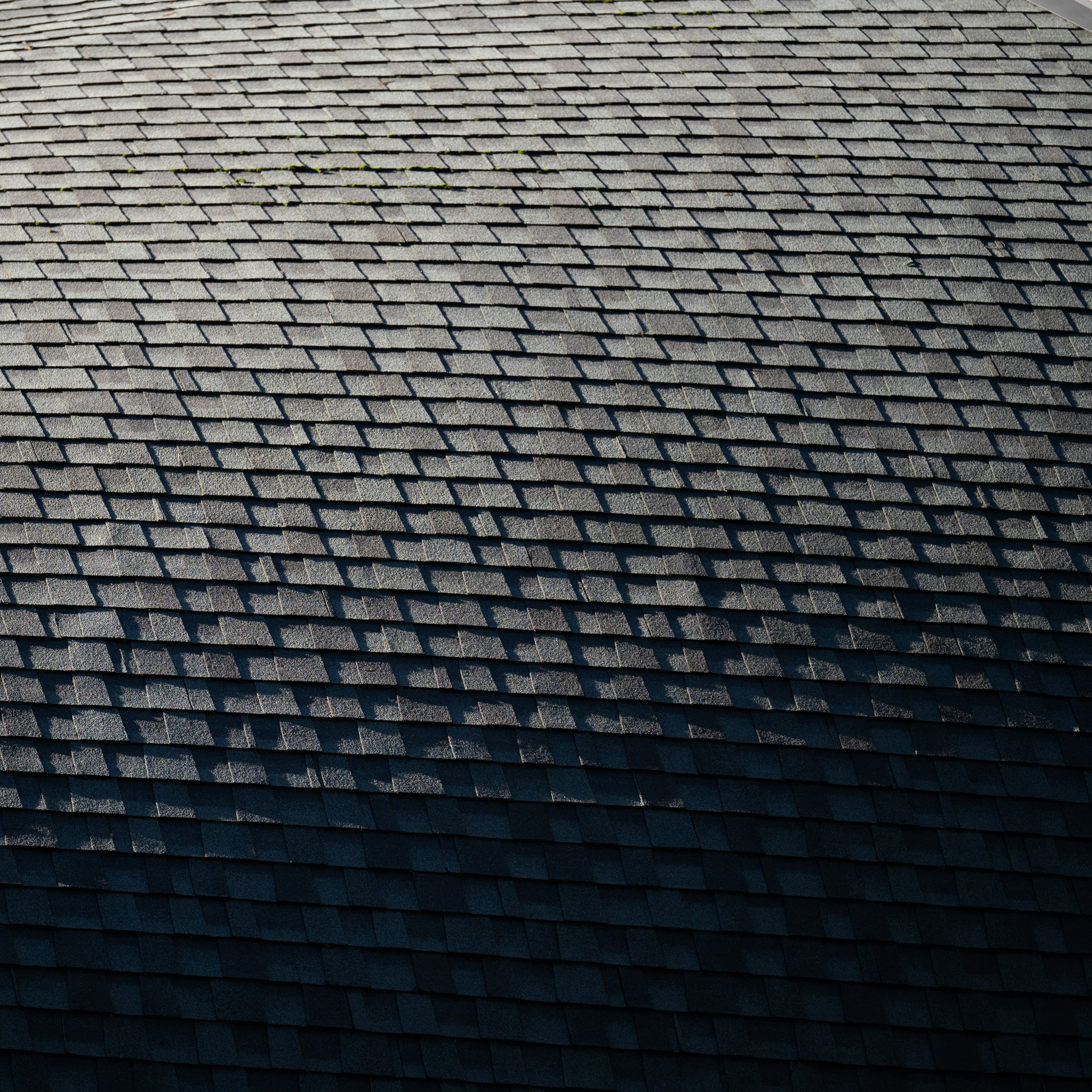 RoofMeister | Roof Repair & Replacement in Summerville, Goose Creek, SC