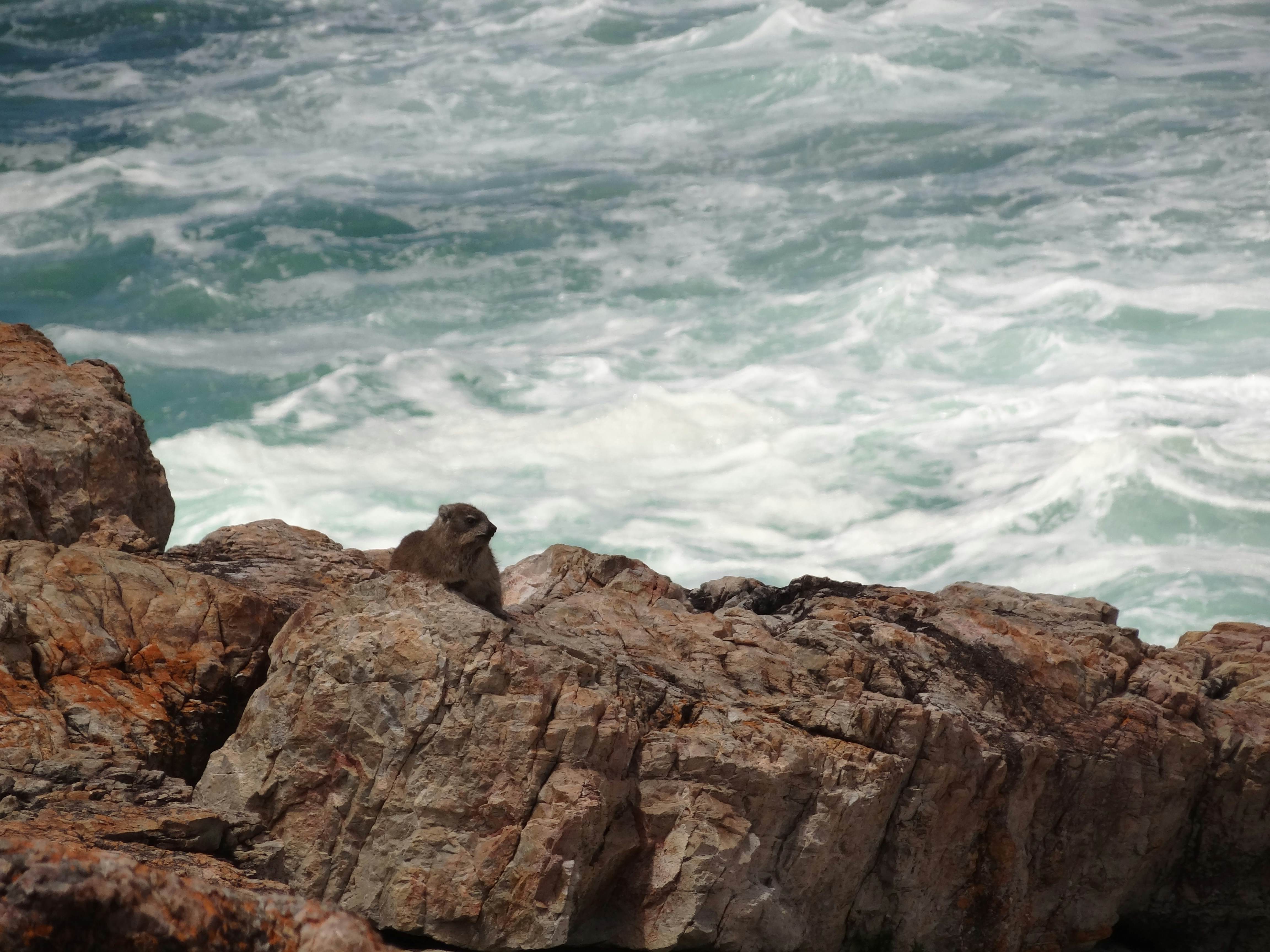 Photo by emilyclickinson